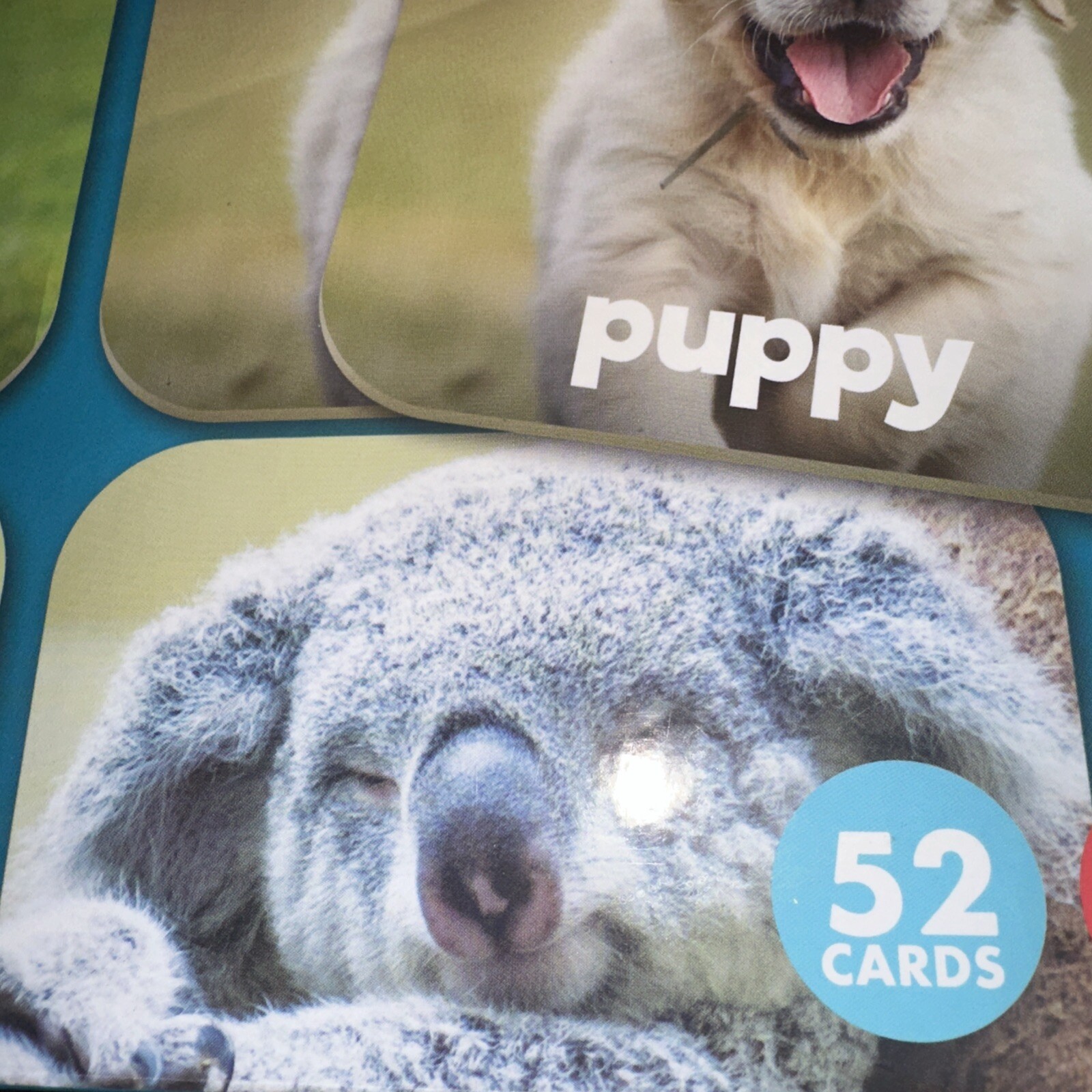 Matching Game Baby Animals – Board Game for Kids 3 and up – Concentration