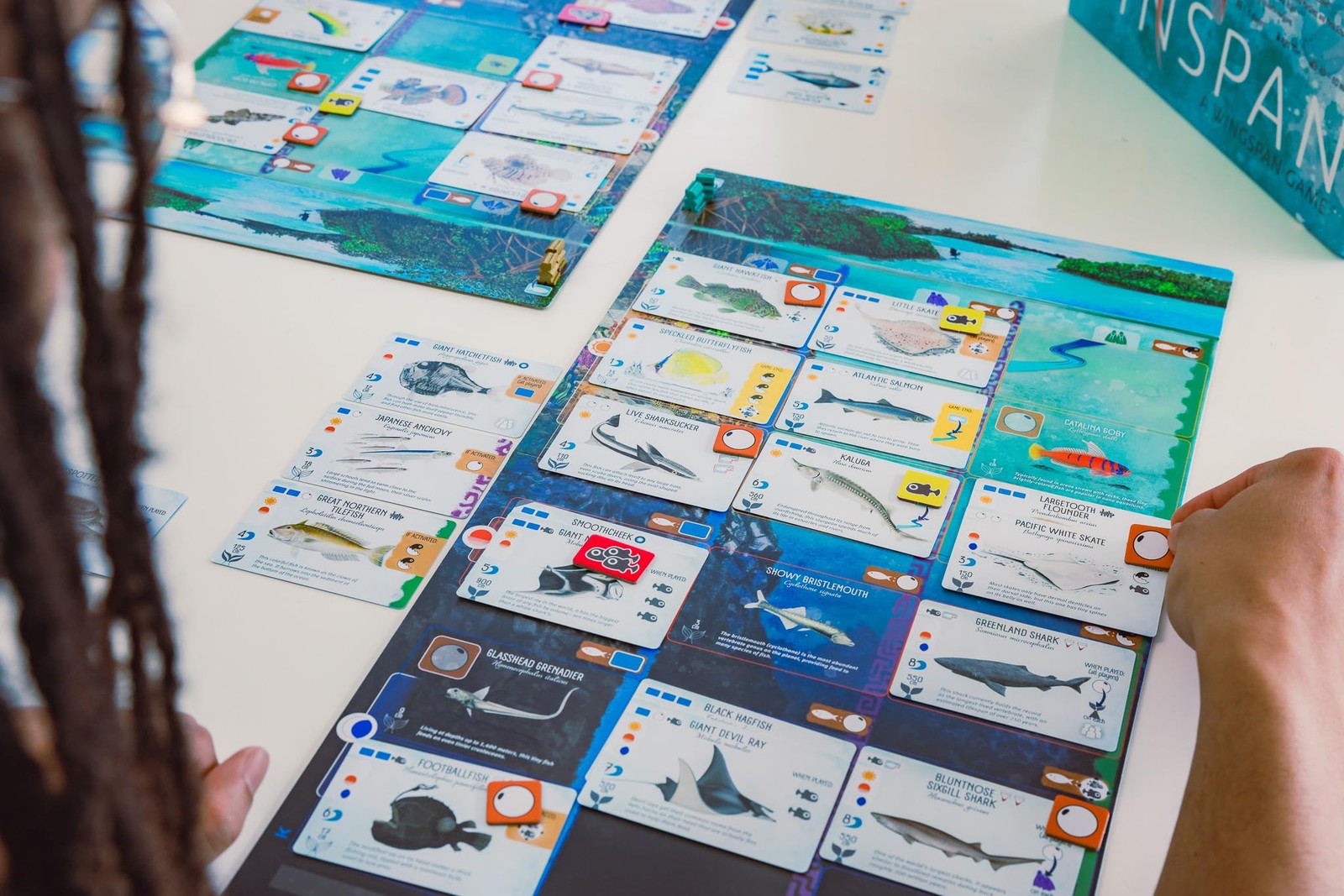 Stonemaier Games Finspan – A Wingspan Game by David Gordon Michael O’Connell…