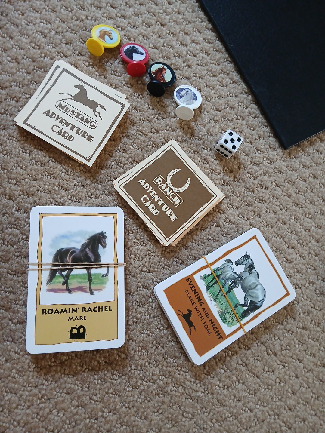 Herd Your Horses Wild Adventures Board Game (2009 Aristoplay, USA) Complete