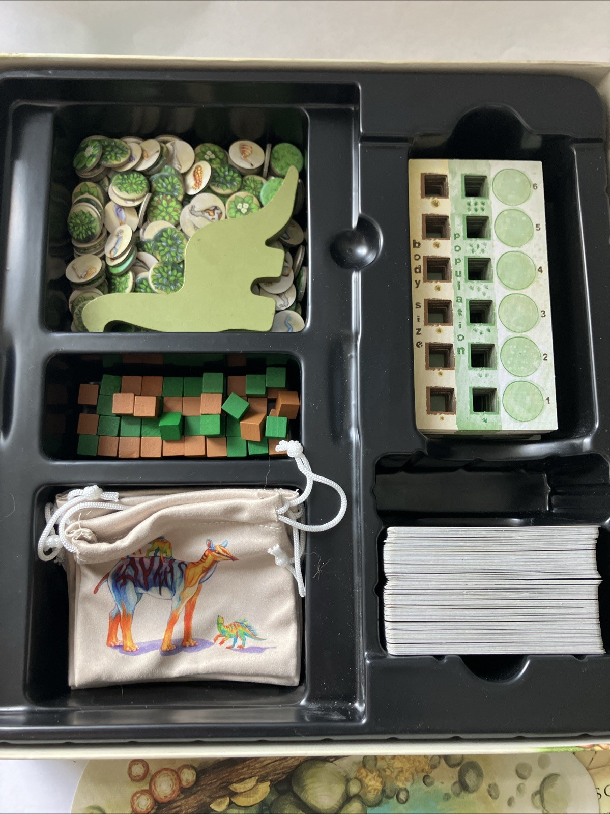 North Star Games Evolution w/Climate Conversion Kit Complete