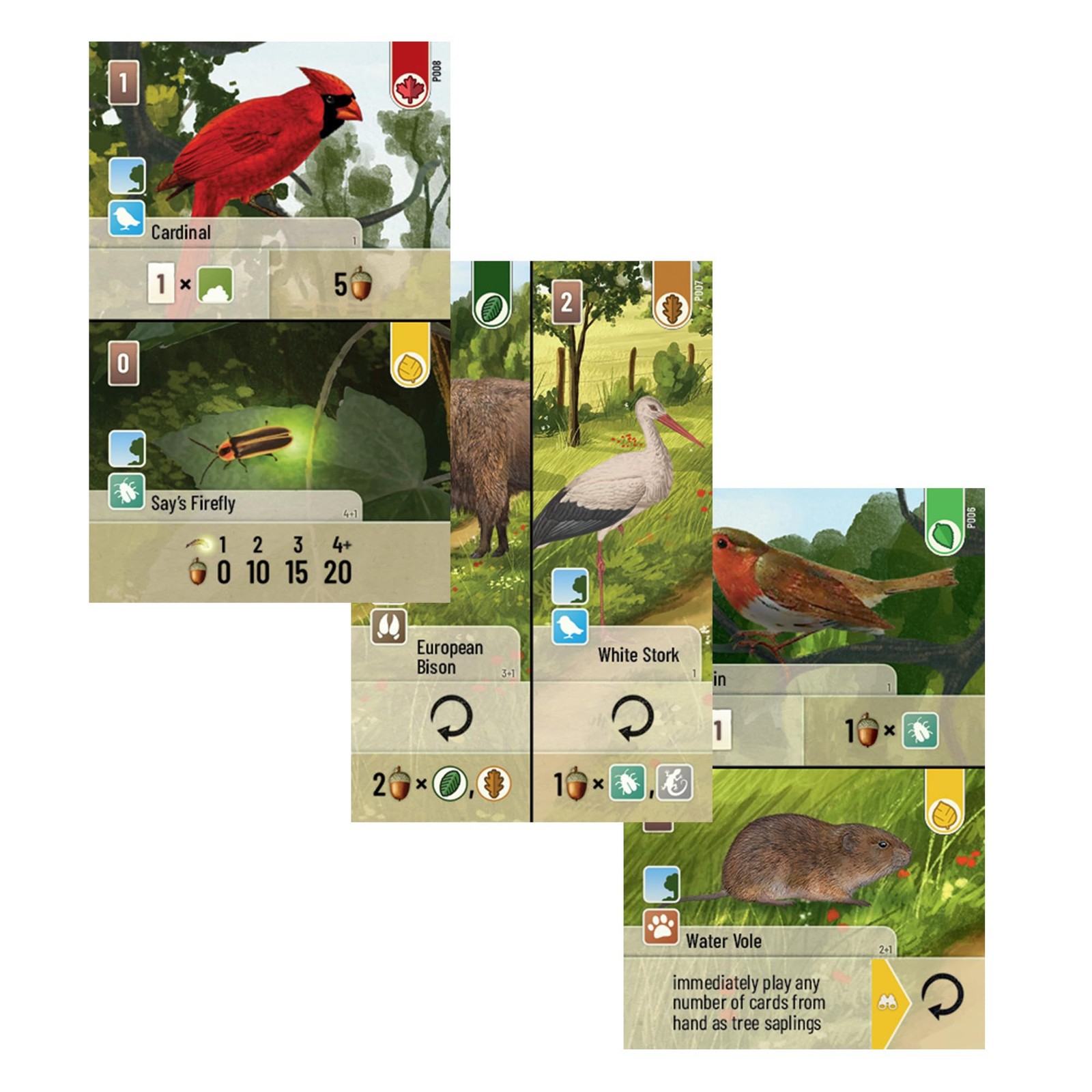 Asmodee | Forest Shuffle: Exploration | Board Game Expansion | Ages 10+ | 1