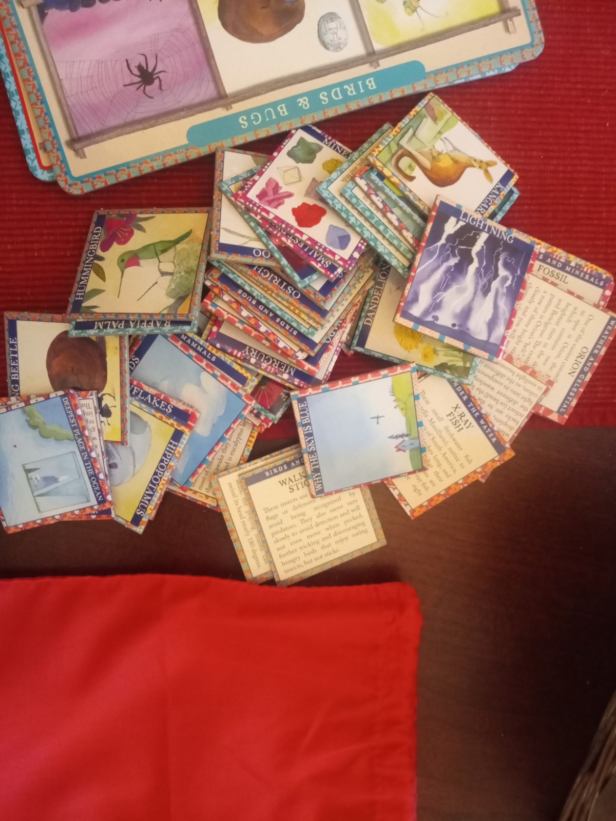 EeBoo NATURAL SCIENCE BINGO for Kids 5+ — Complete Game — *VERY* Gently Used!