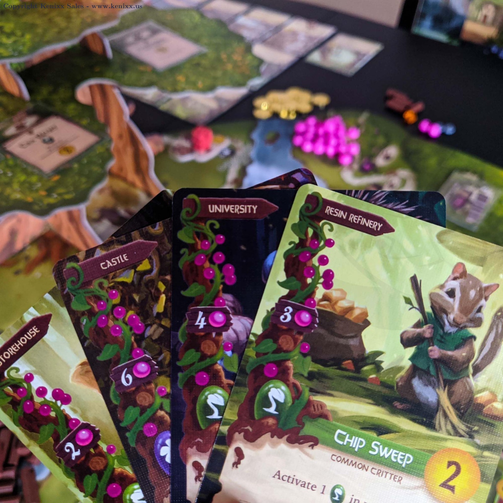 Everdell Collector’s Edition Board Game – Premium Strategy Worker