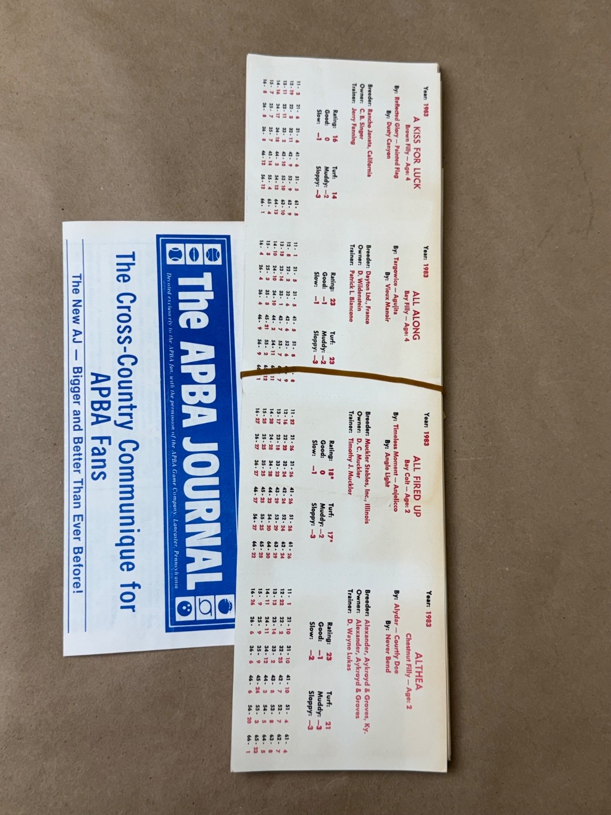 Vintage APBA American Saddle Racing Game Cards – Complete 1983 Racing Season