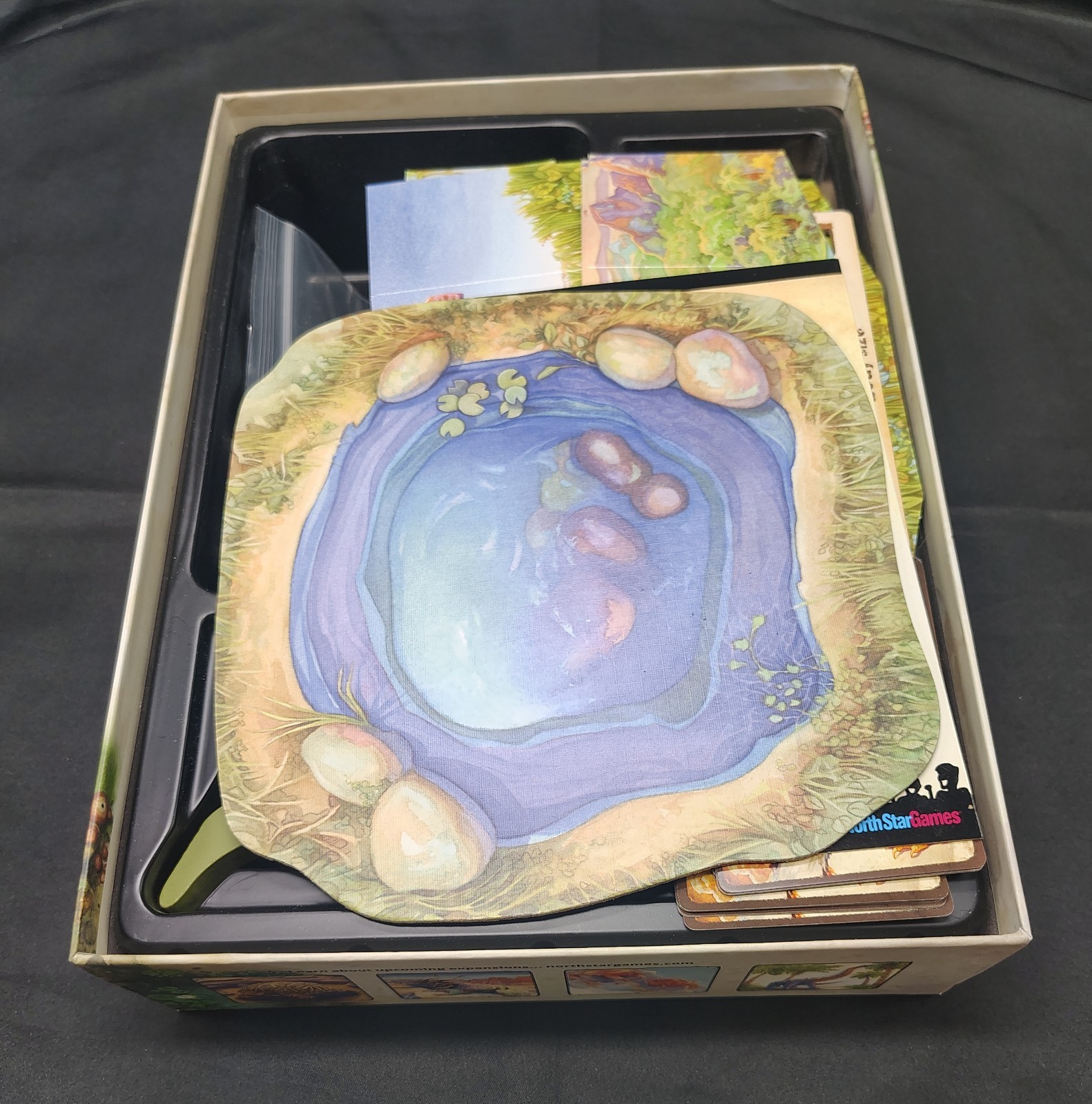 Evolution board game from North Star Games — 100% complete