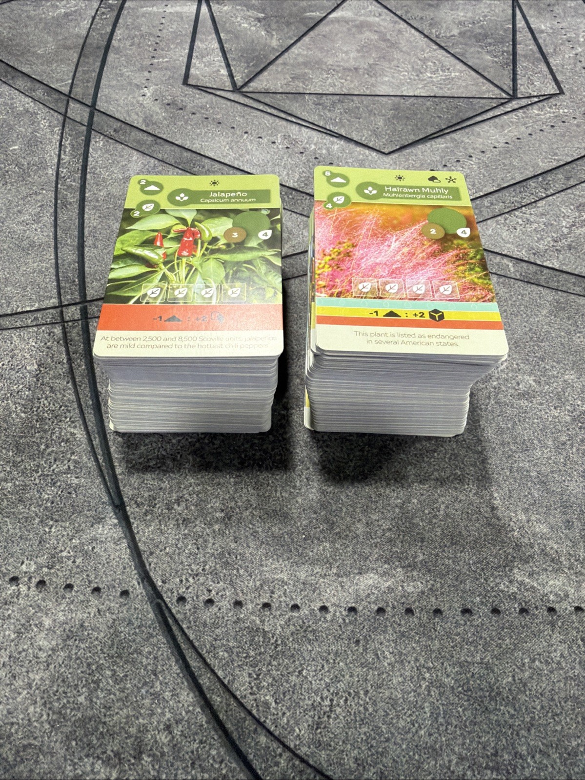 Earth Cards Earth Board Game Replacement Parts Inside Up Games