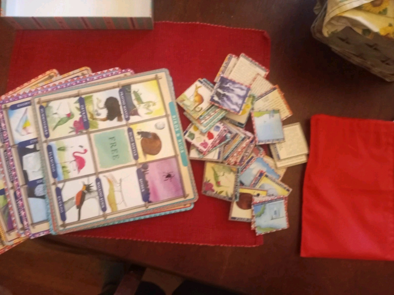 EeBoo NATURAL SCIENCE BINGO for Kids 5+ — Complete Game — *VERY* Gently Used!