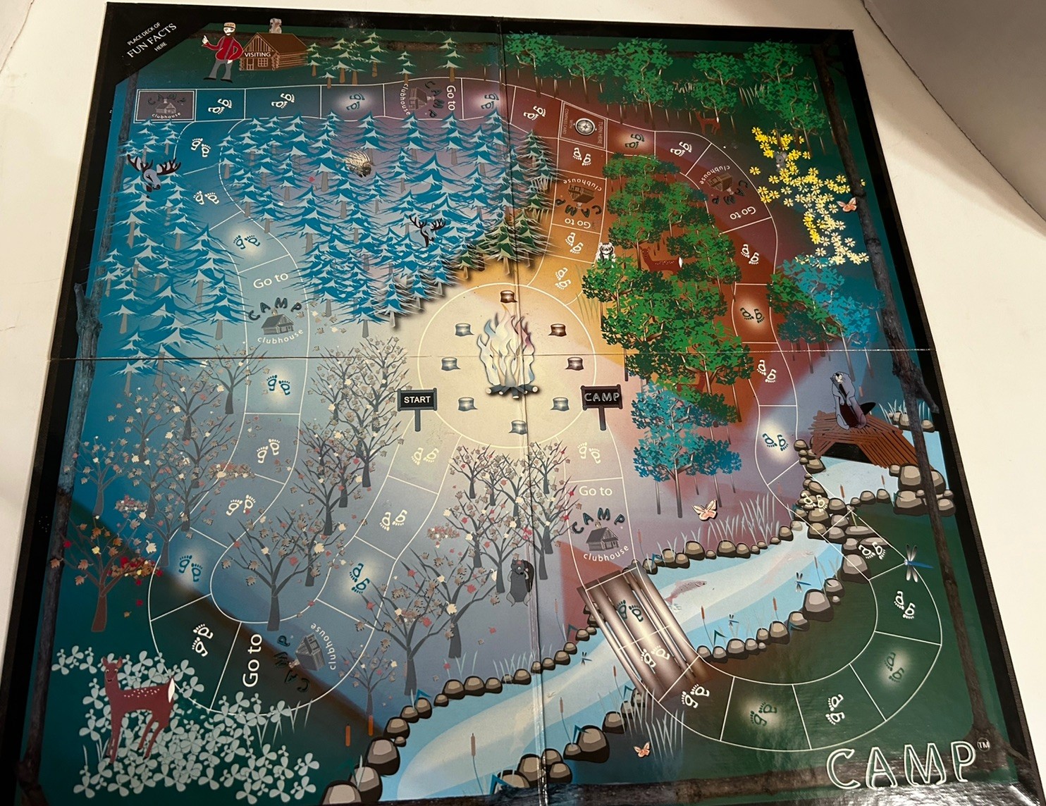 CAMP The Game That Grows With You Education Outdoors Family Game Complete 2008