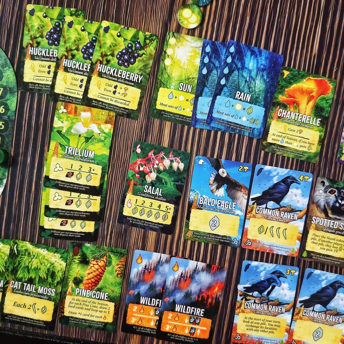 Canopy Evergreen – Strategy Board Game – for 1 to 4 Players and Ages 10+