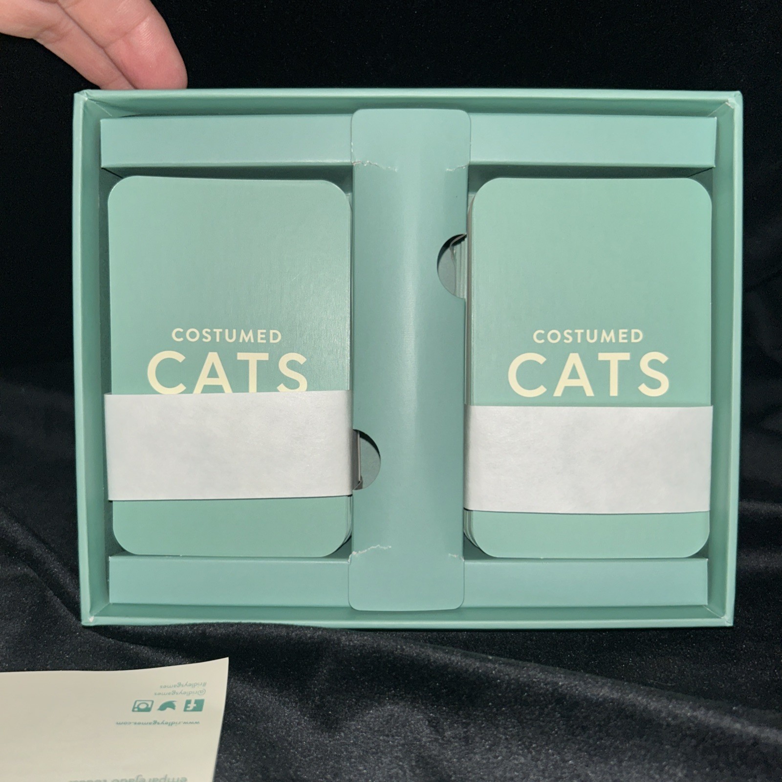NEW Ridley’s Games Costumed Cats Memory Game