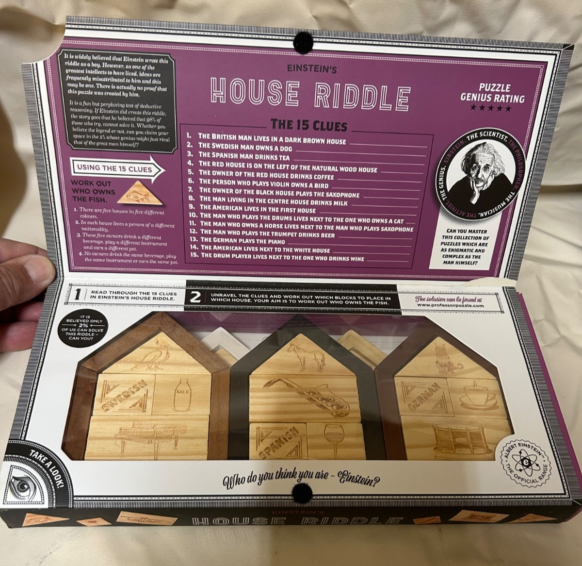 Professor Puzzle Einsteins Collection House Riddle Wooden Brain Teaser Open Box