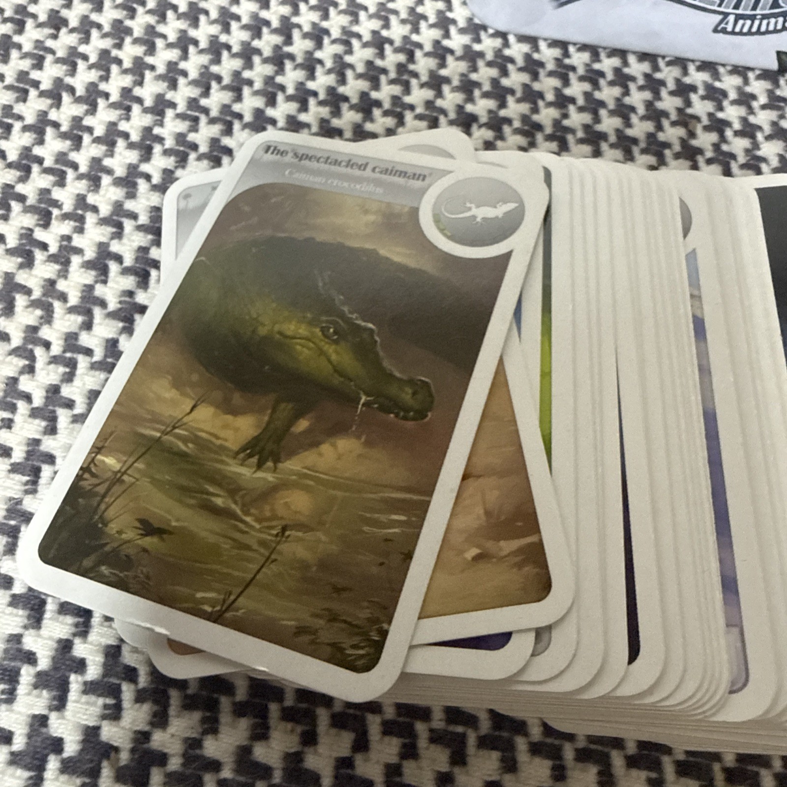 Cardline: Animals by Asmodee 2013 Complete Card Game Bombyx 100% Complete