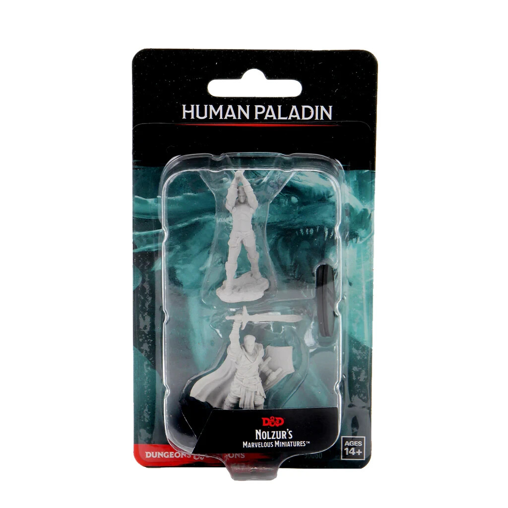 DUNGEONS & DRAGONS MARVELOUS MINIATURES ~ HUMAN MALE PALADIN