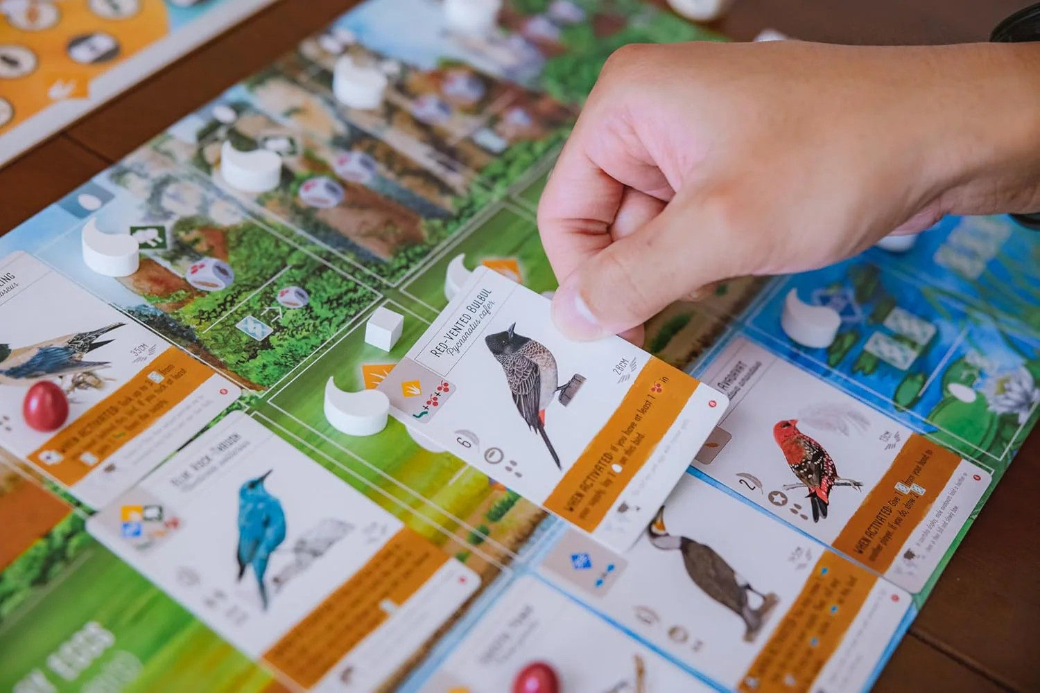 Wingspan – Asia Expansion [Board Game, 1 – 5 Players]