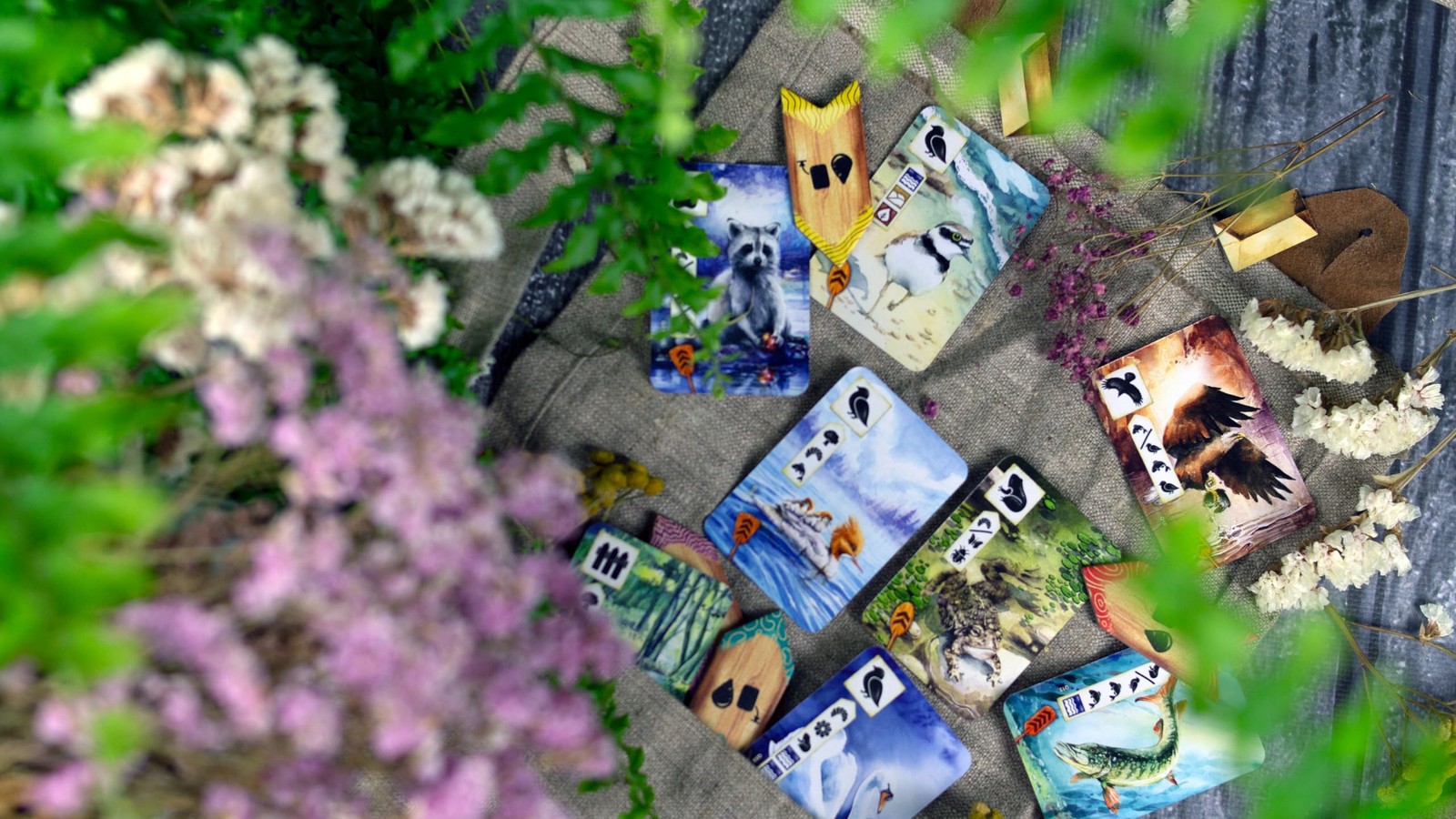 Meadow Downstream Expansion Nature Themed Strategy Board Game For 1 To 4 Players