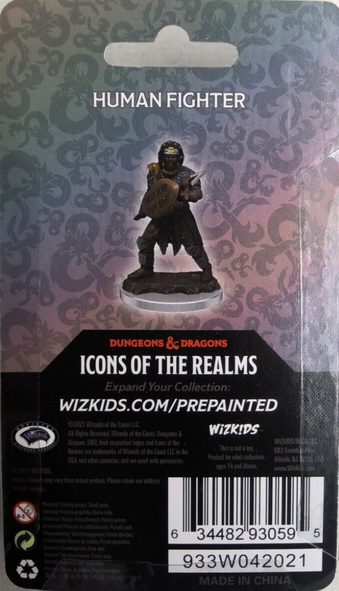 DUNGEONS & DRAGONS ICONS PREMIUM MINIATURES ~ HUMAN MALE FIGHTER
