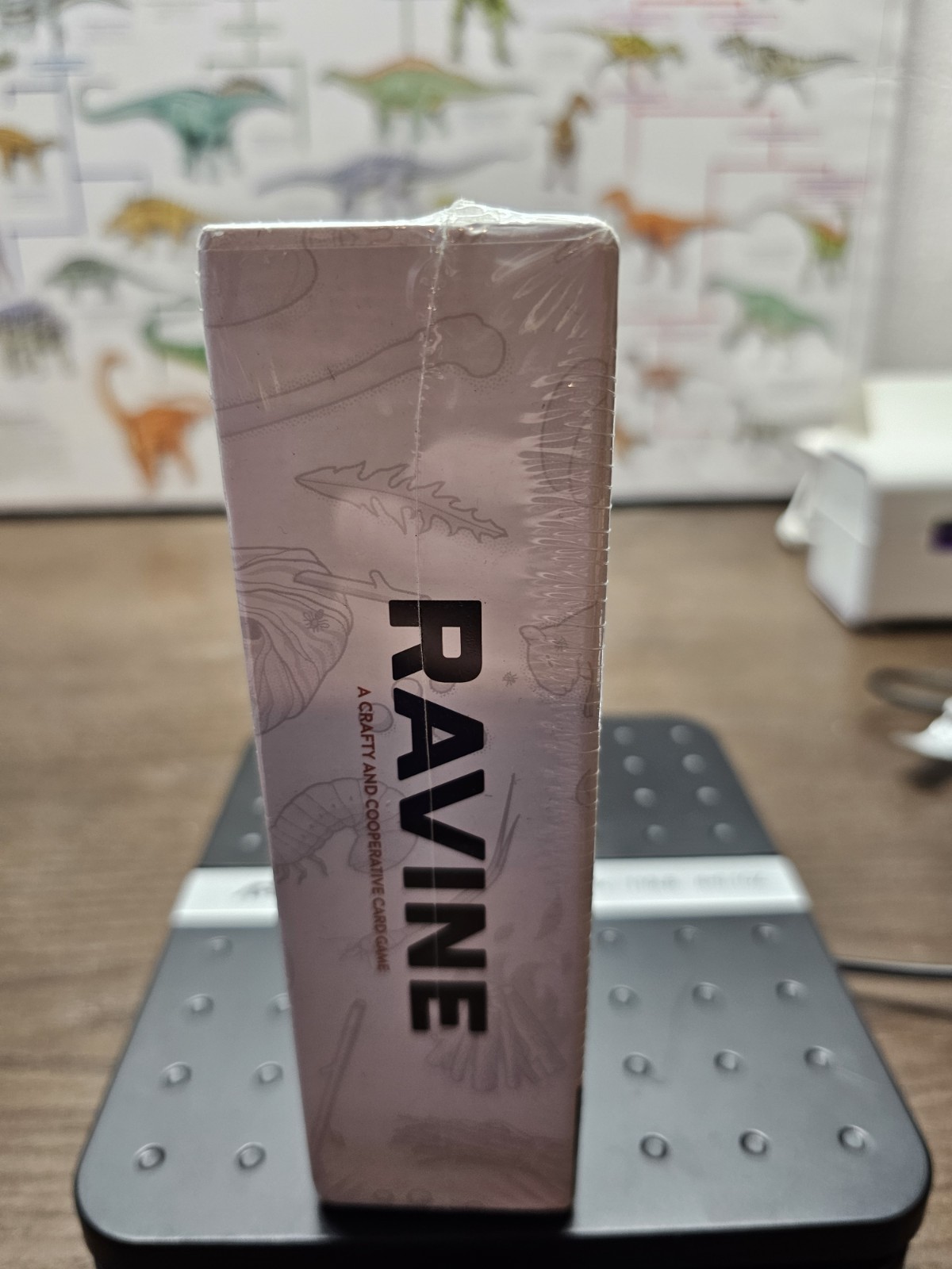 Ravine A Crafty & Cooperative Strategic Card Game By Stellar Factory New Sealed