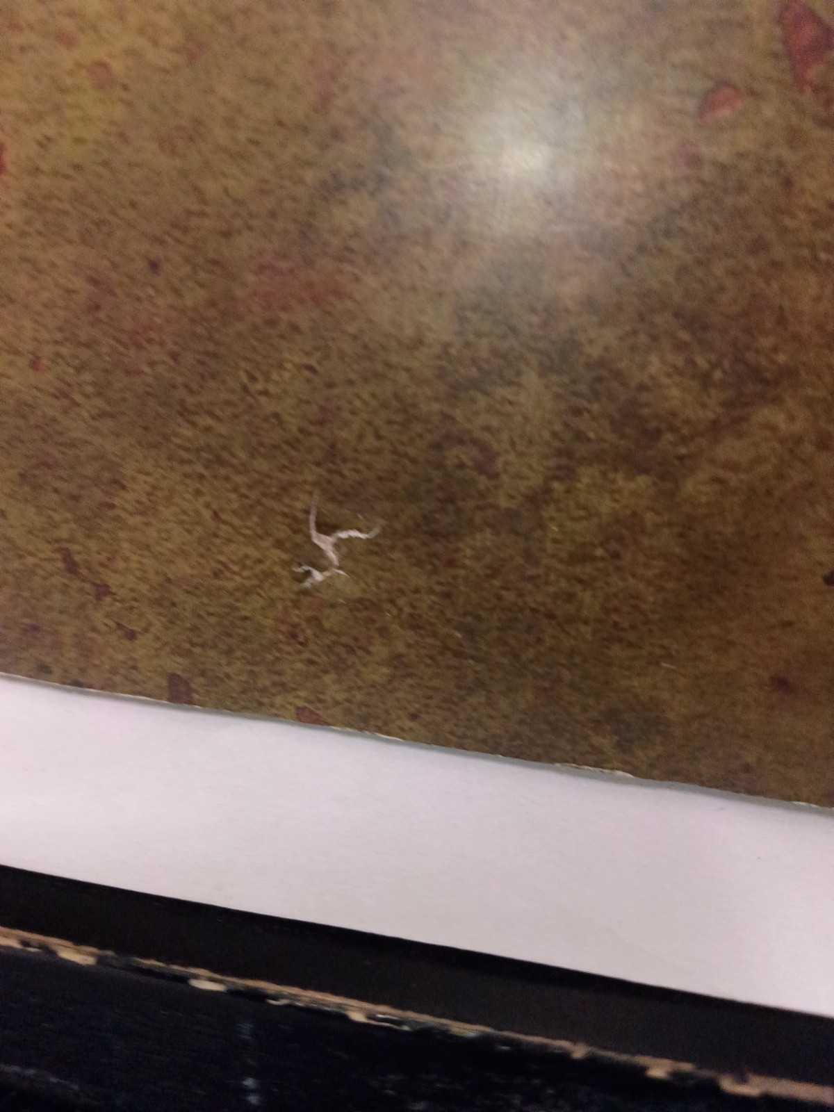 Disney Parks Dejarik Board Game w/ Checkers Star Wars Galaxy’s Edge Official
