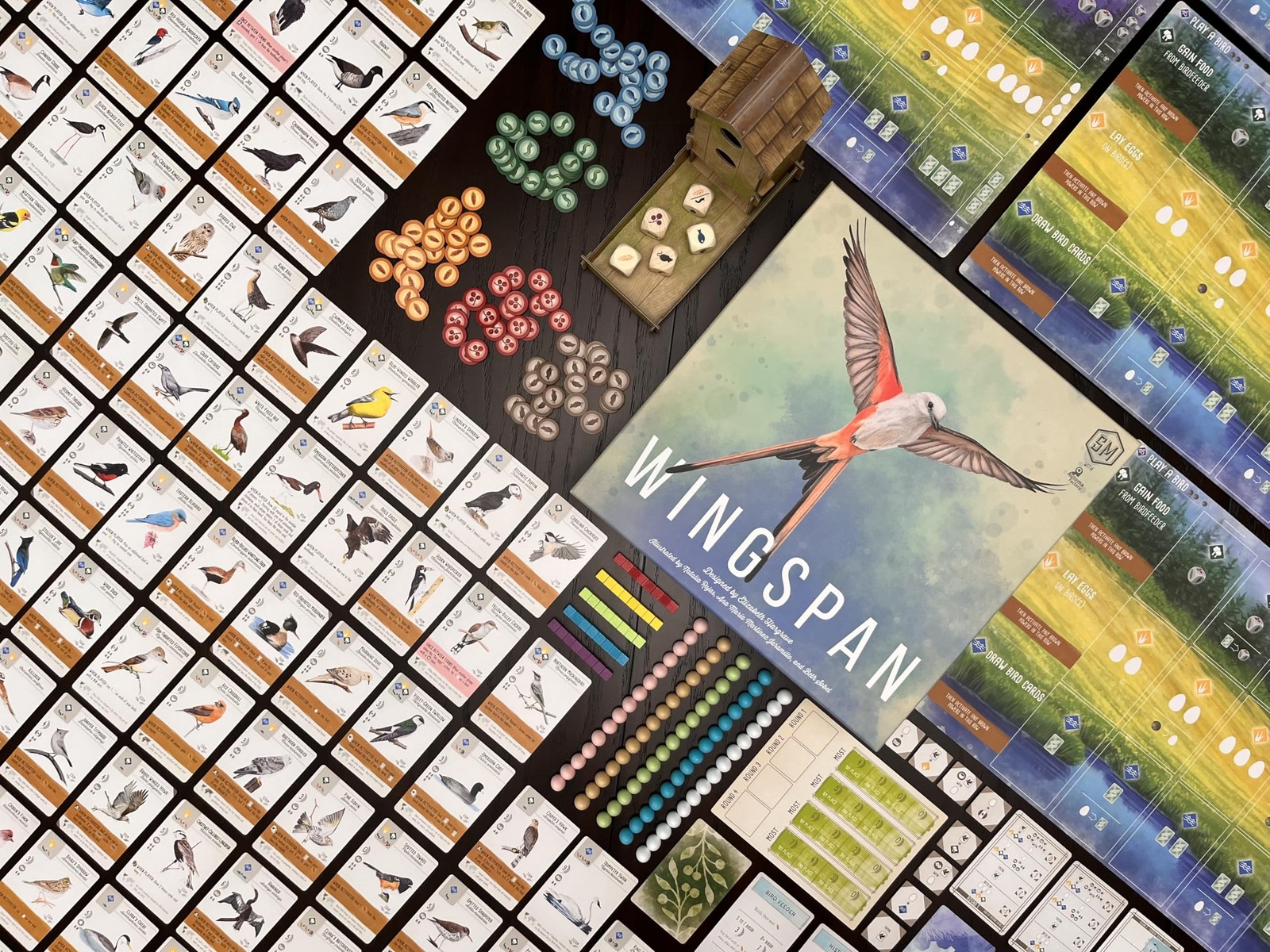 : Wingspan (Base Game) by Elizabeth Hargrave | A Relaxing, Award-Winning Stra…