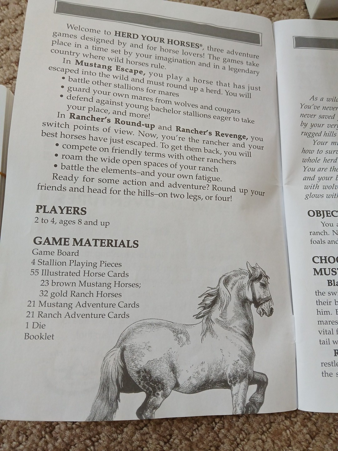 Herd Your Horses Wild Adventures Board Game (2009 Aristoplay, USA) Complete