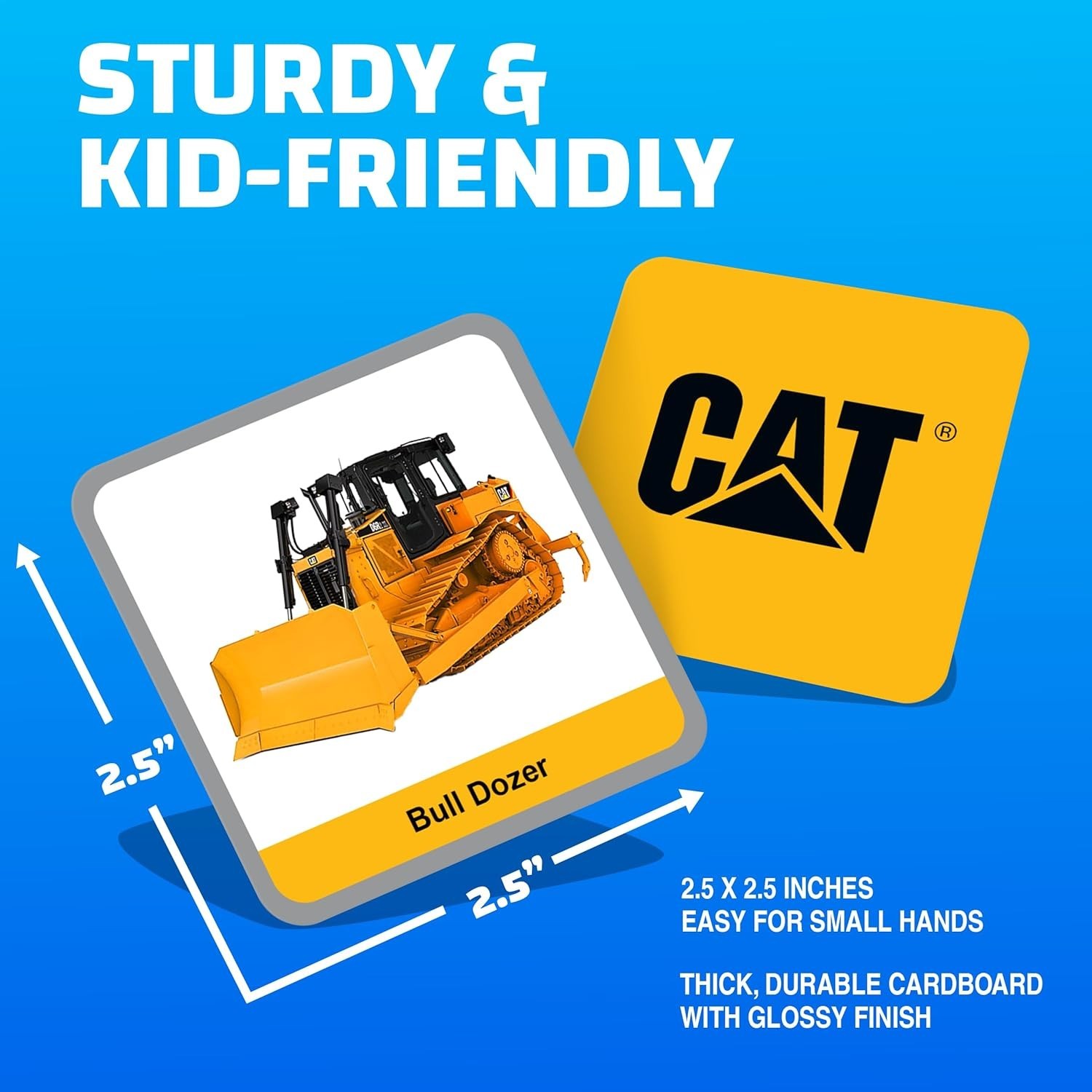 Officially Licensed CAT Picture Matching Card Game for Kids and Families