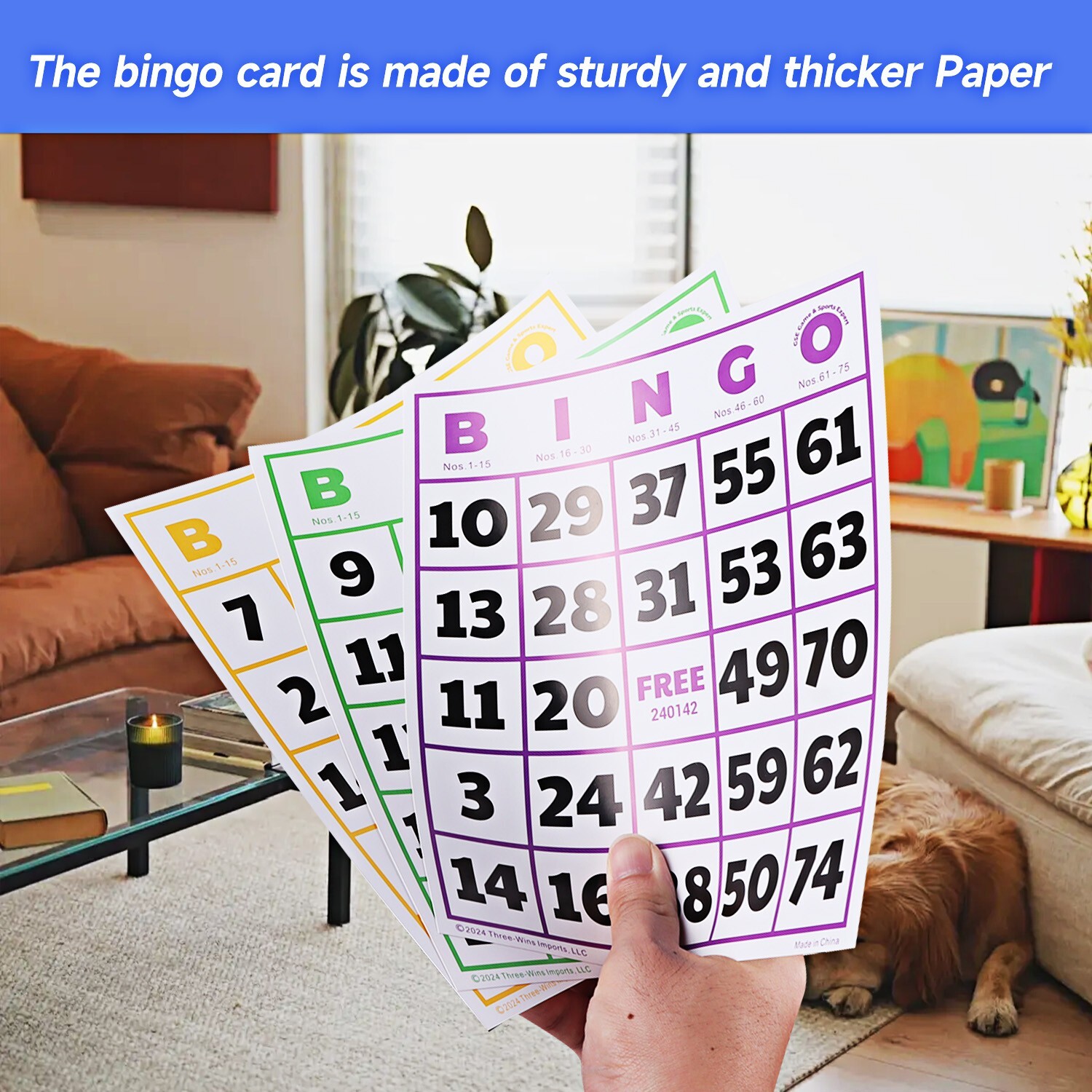 50-Pack EZ Reader Jumbo Bingo Cards for Bingo Game/Large Multicolor Bingo Sheets