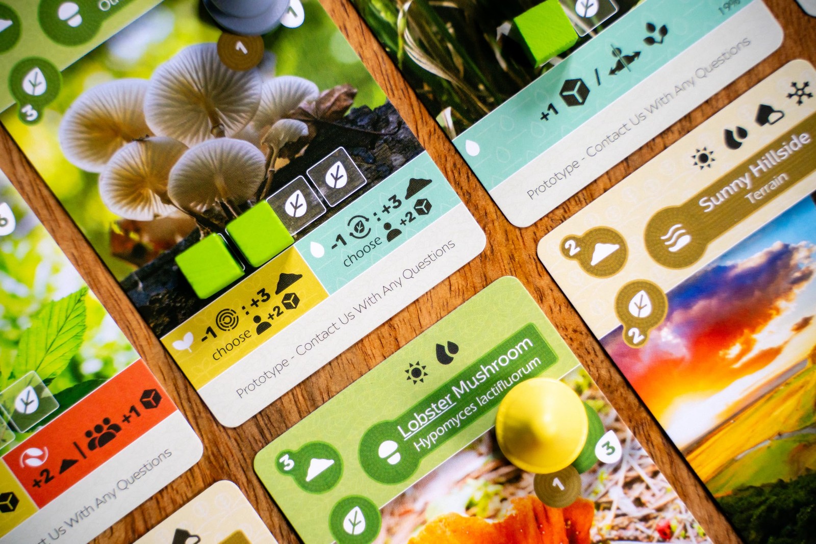Earth: Abundance Expansion | Board Game Expansion | Ecosystem Building, Card …