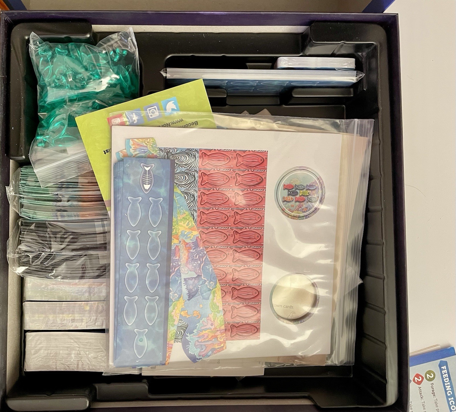 OCEANS, North Star Games 2019 Board Game (Deluxe Edition) With Promos