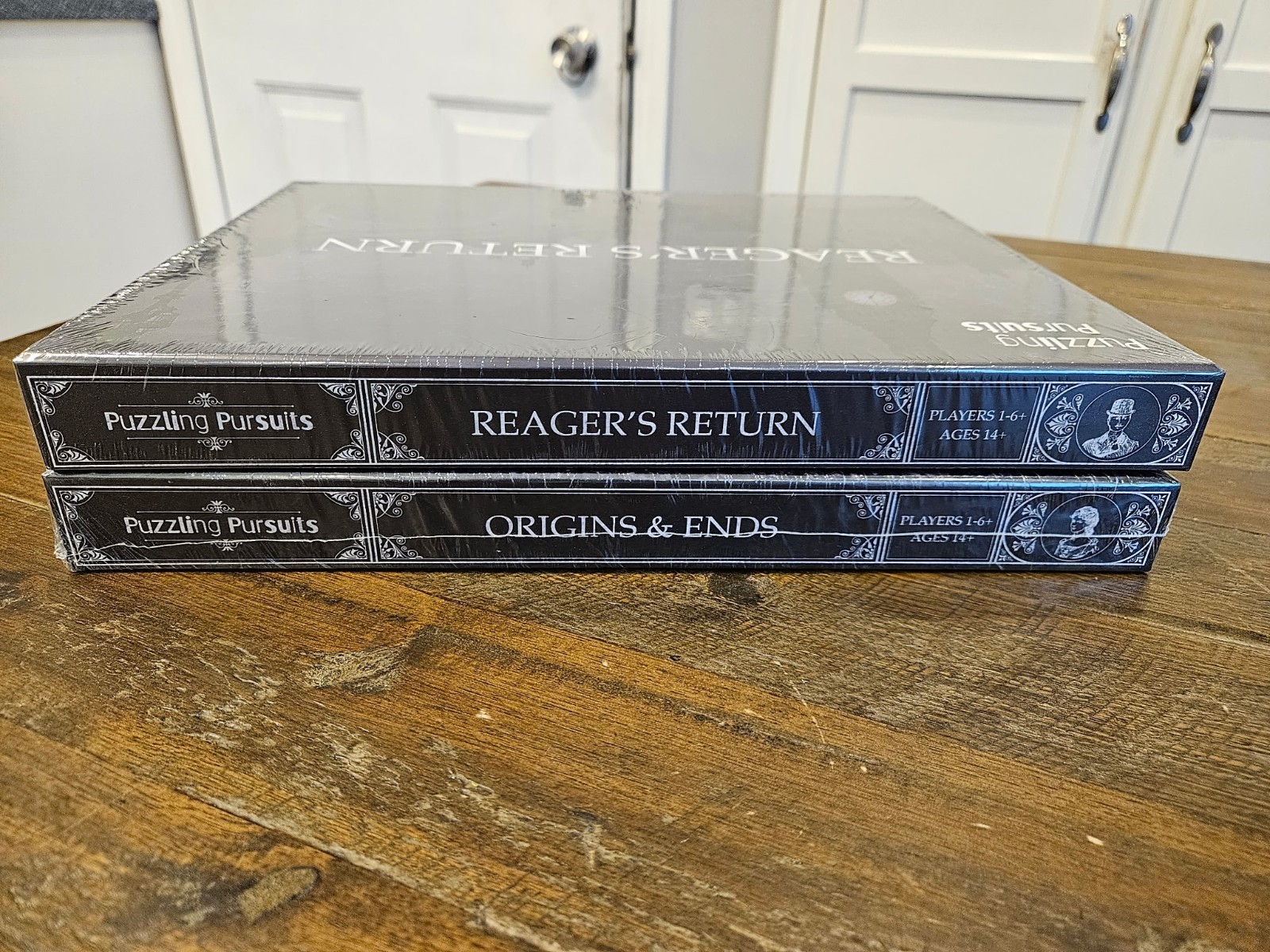 Puzzling Pursuits Origins & Ends Reager’s Return Mystery Gane BRAND NEW