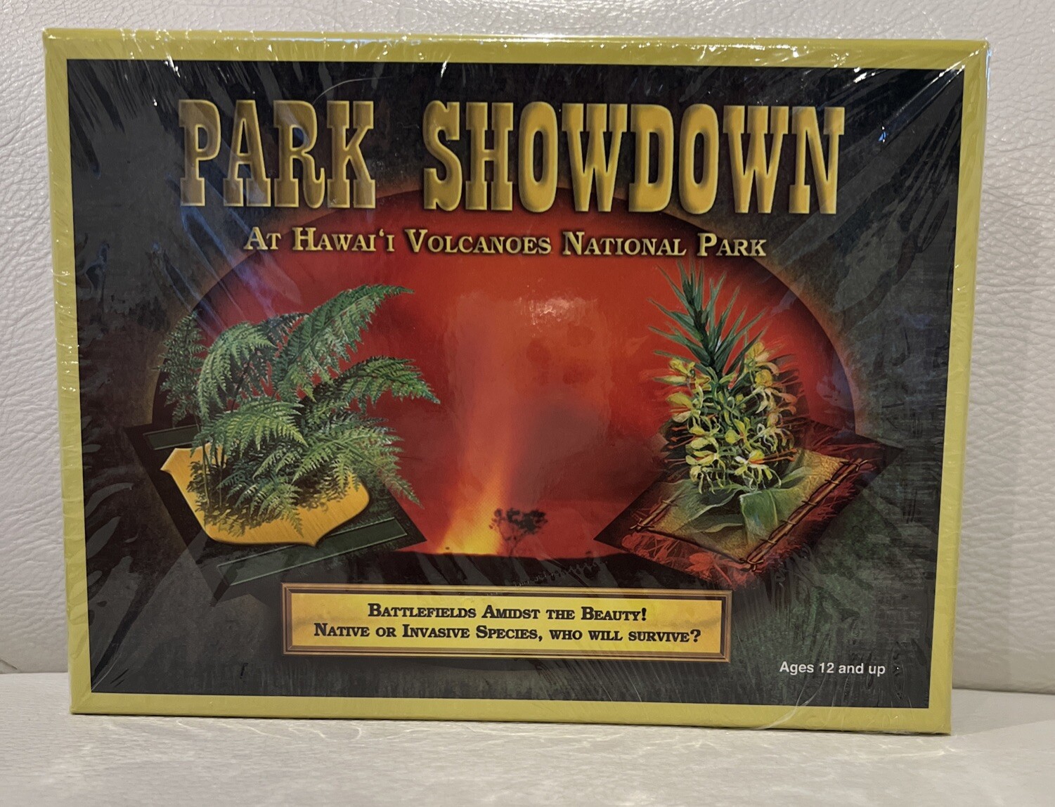Park Showdown At Hawaii Volcanos National Park Game Ages 12 And Up New