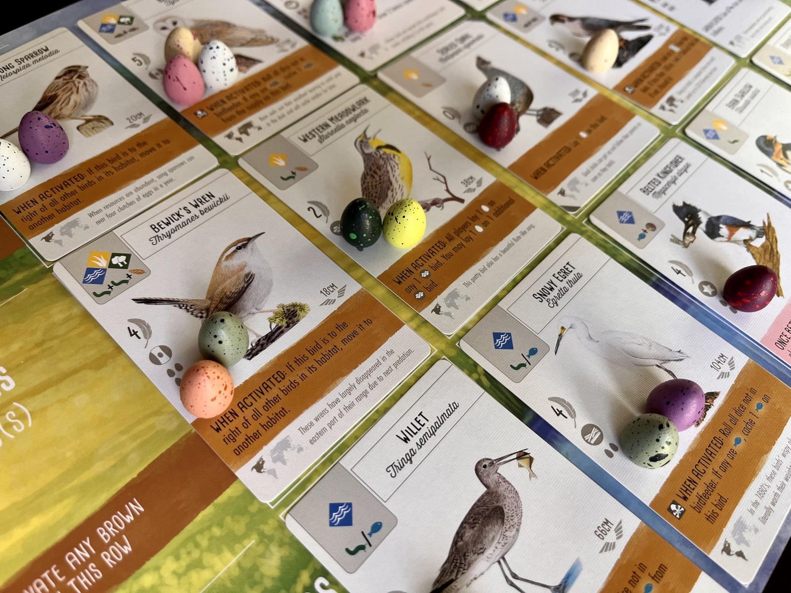 Stonemaier Games: Wingspan Speckled Eggs | Add to Wingspan (Base Game or Asia…