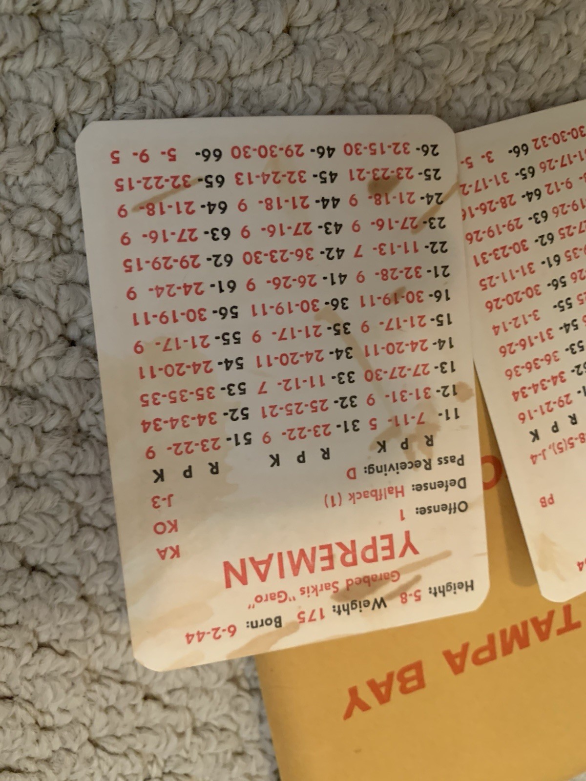 1980 APBA PRO FOOTBALL Season Set With All Player Cards And Extra Players. Great