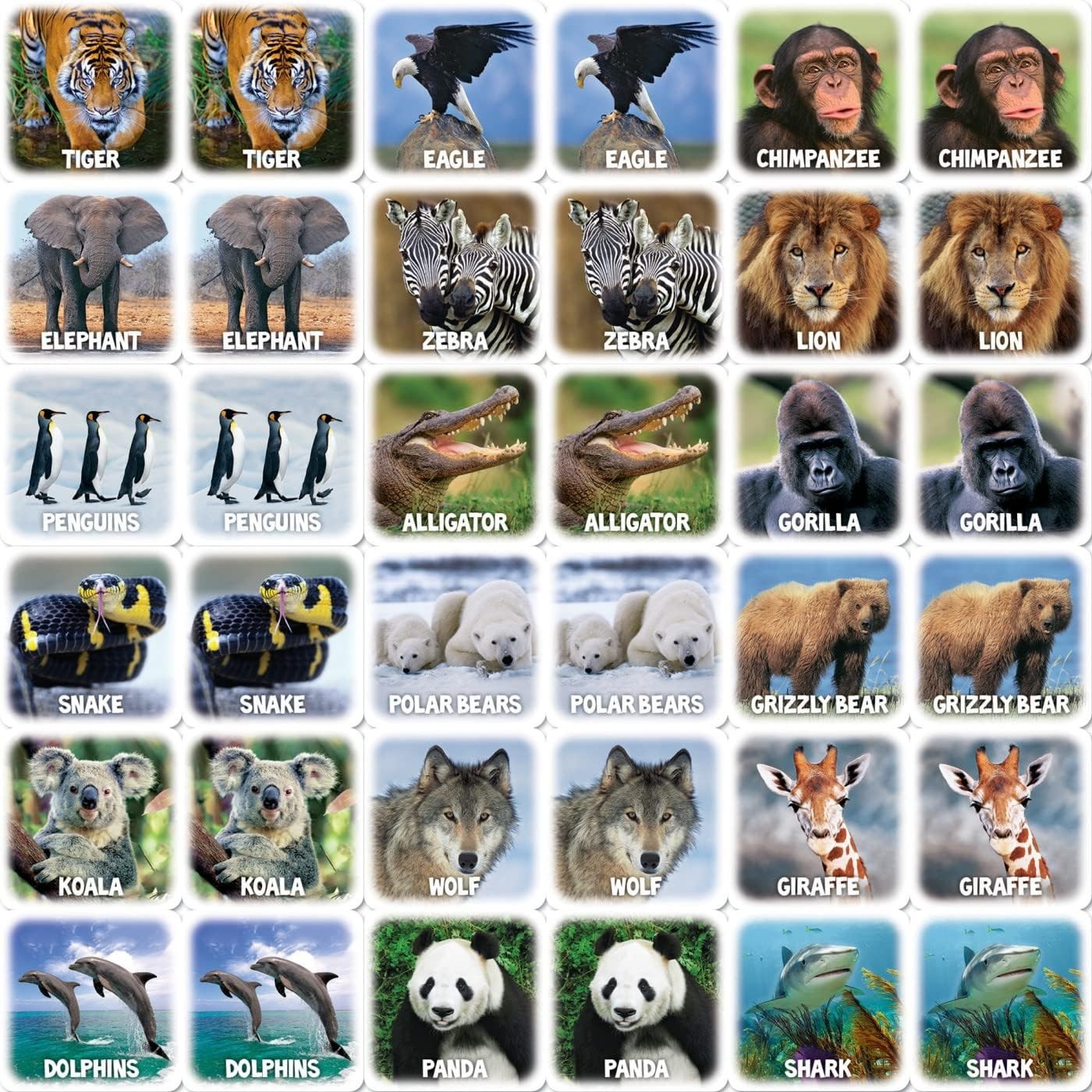 Interactive World of Animals Matching Game – Enhance Memory Skills for Kids 3 Up