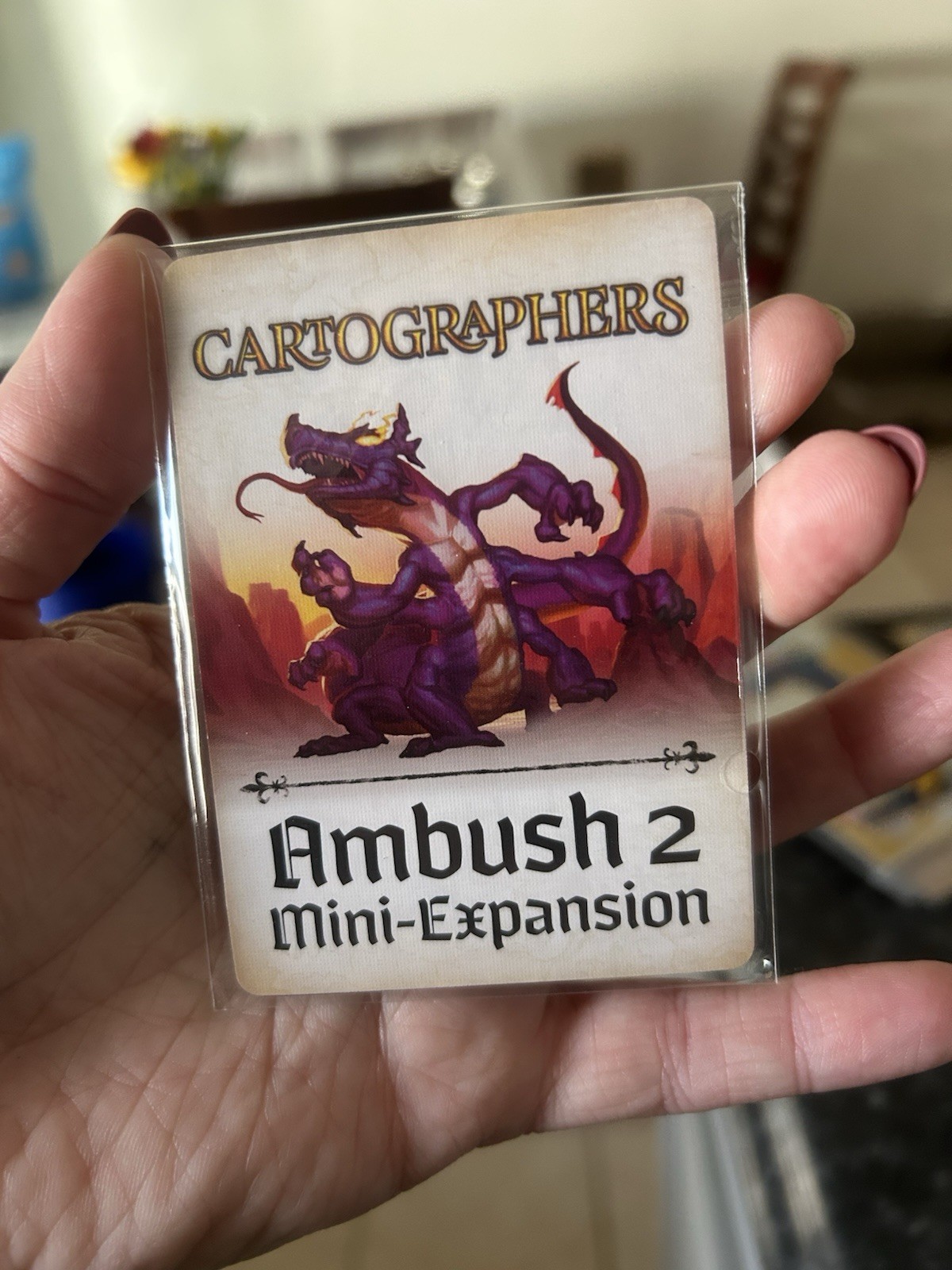Cartographers: Ambush 2 Mini Expansion Kickstarter Game Boy Geek 2025 – New!