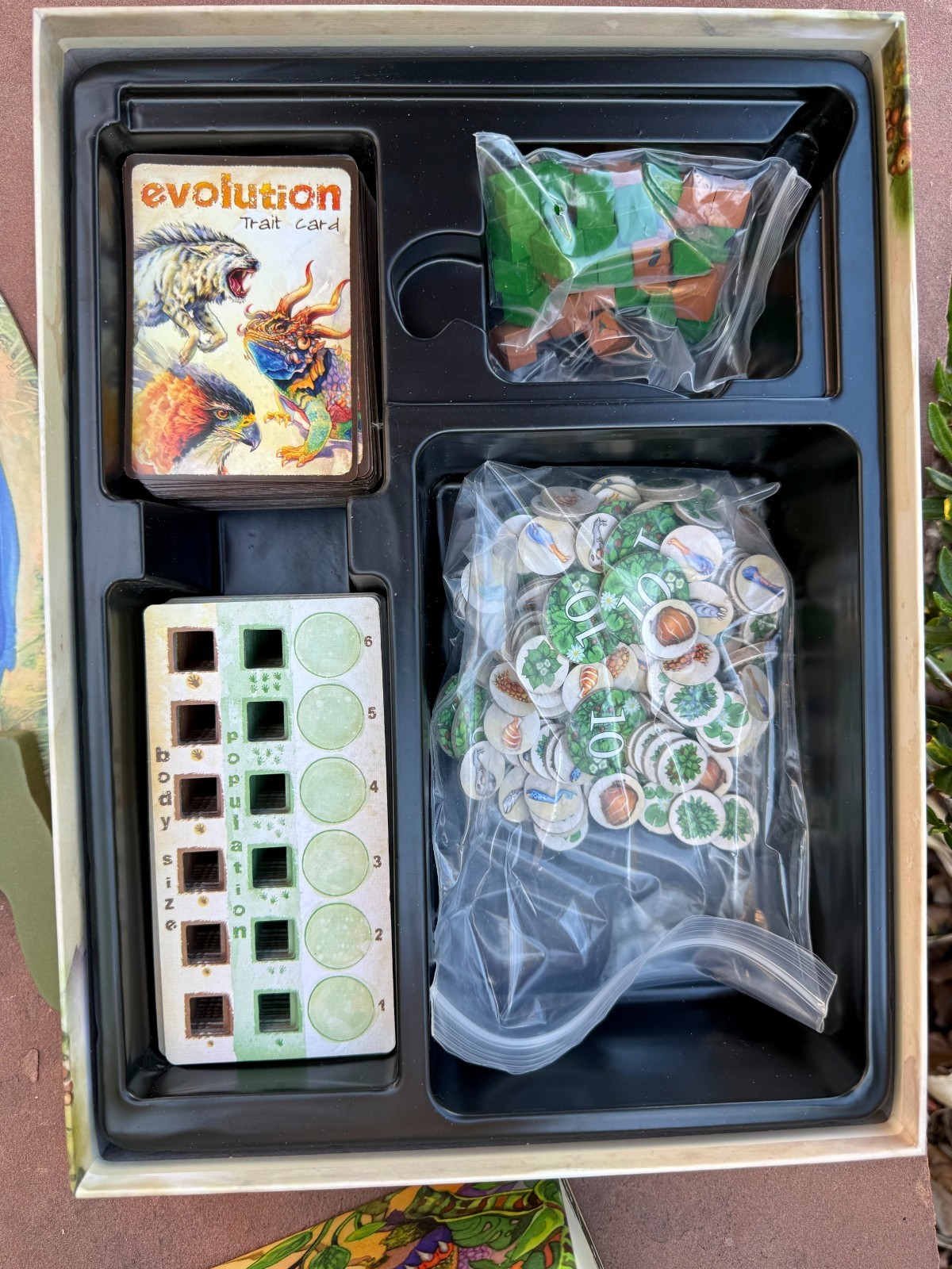 Evolution Board Game North Star Games Science Education Complete Nice Open Box