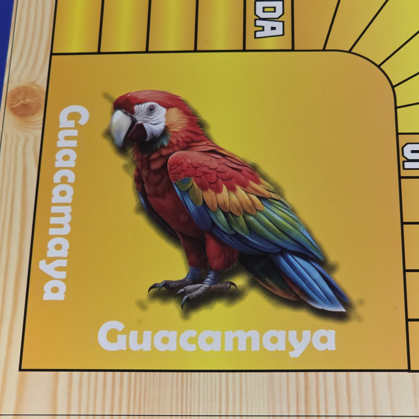 Double Sided Foldable Magnetic Colombian Parcheesi Board Game For 2 to 6 Players