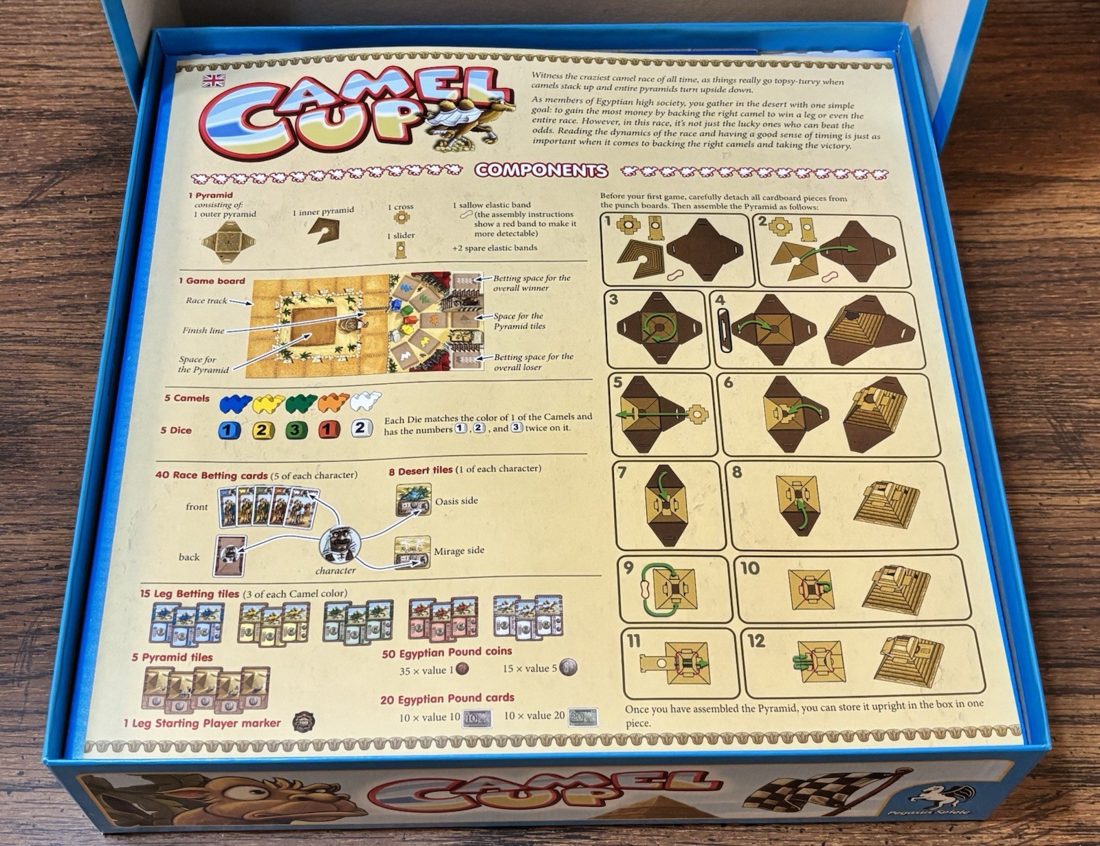 Camel Up Cup Board Game 100% Complete Pegasus Games Stephen Bogen
