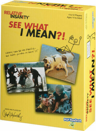 PlayMonster Relative Insanity: See What I Mean?! – Family Party Game