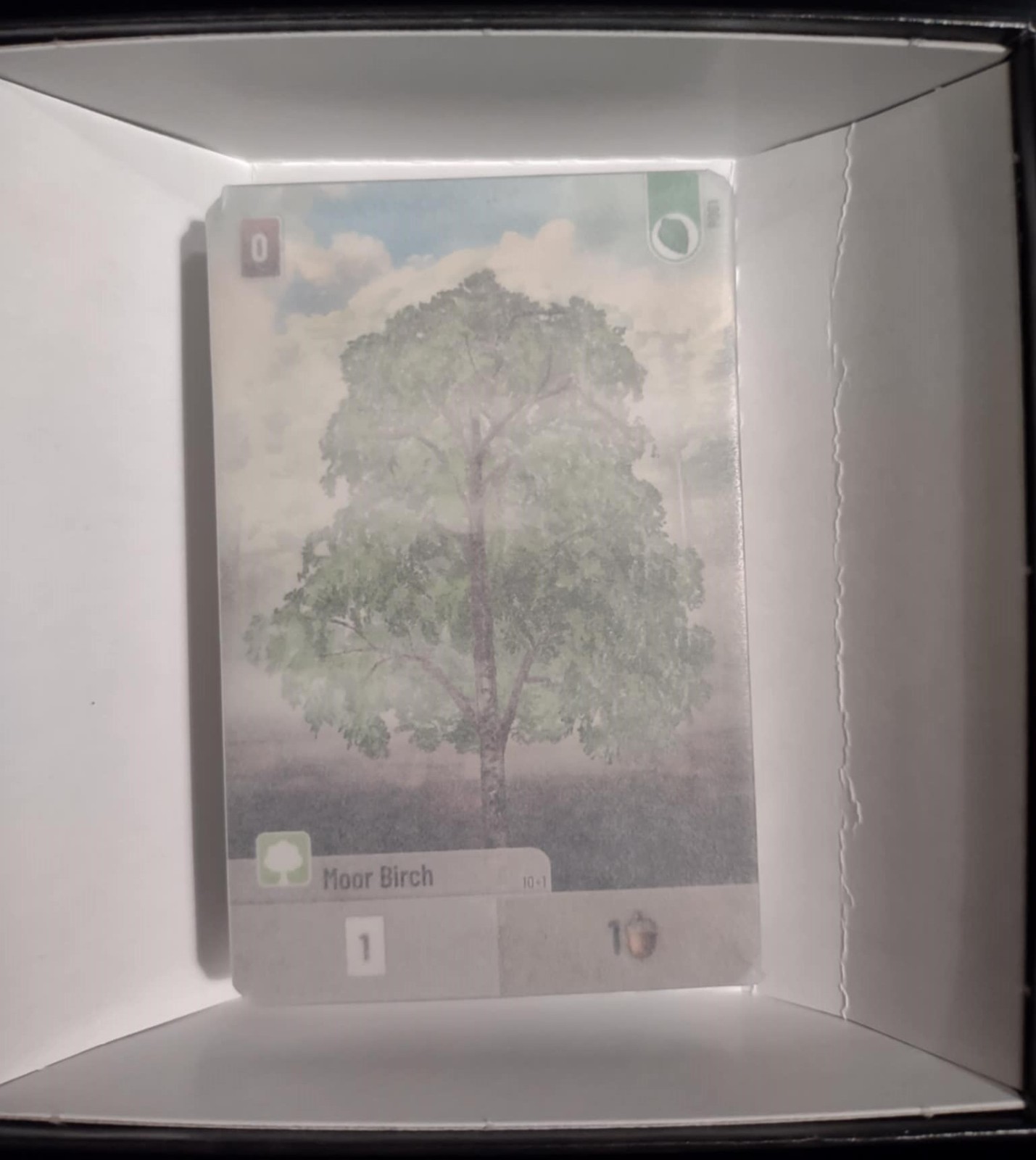Forest Shuffle – Exploration Expansion