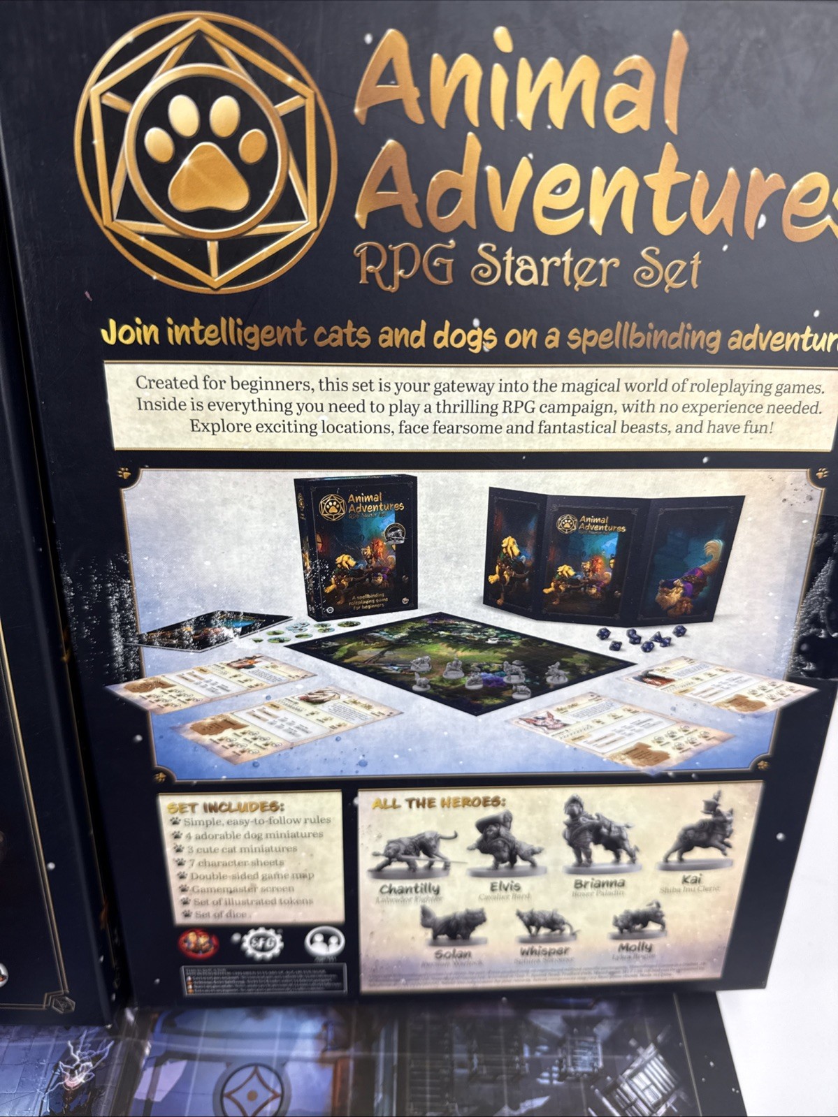 Animal Adventures Starter Set Dungeons Dragons Style Board Game Open Box