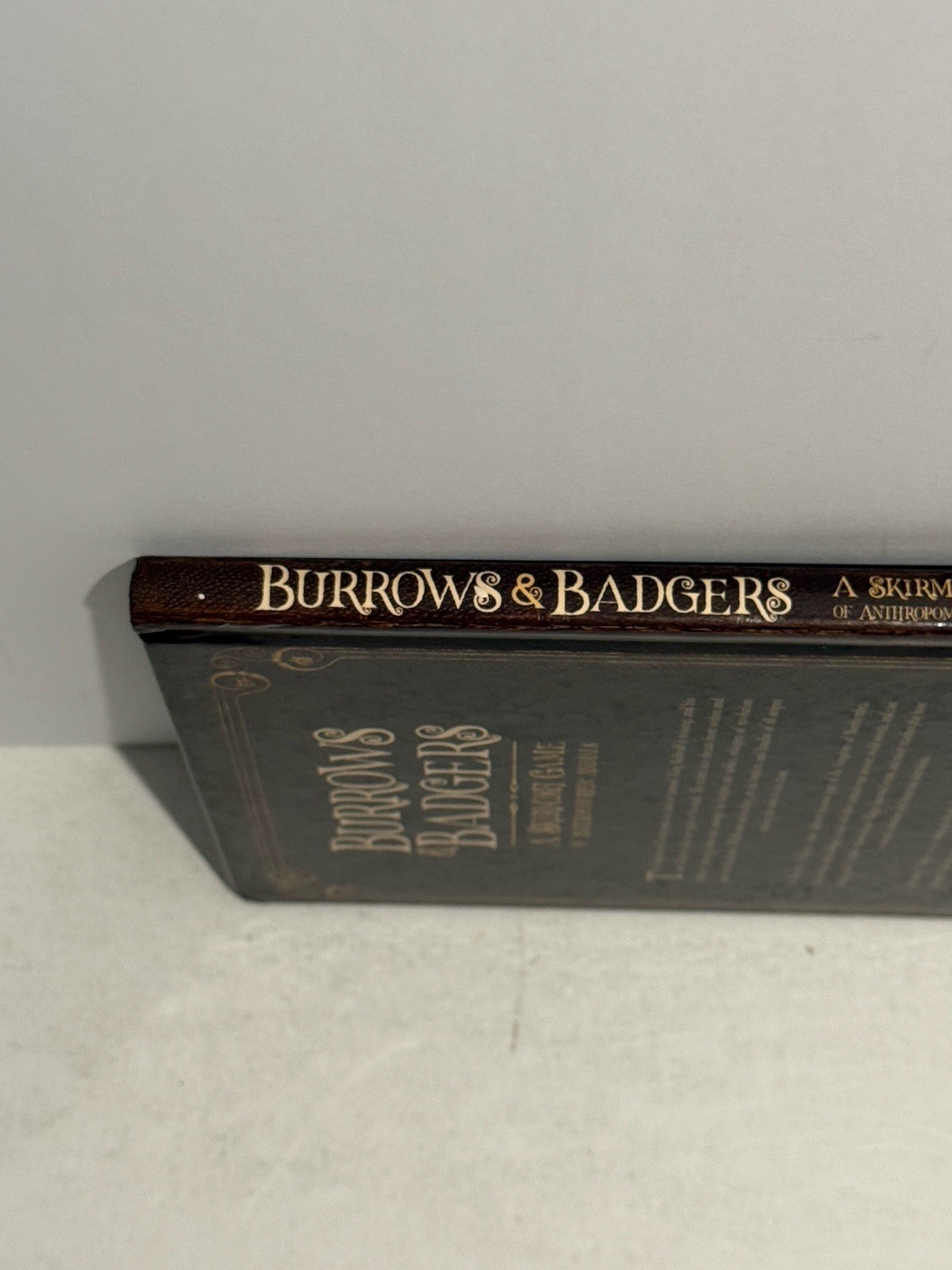 Burrows & Badgers: A Skirmish Game Osprey Games 2018