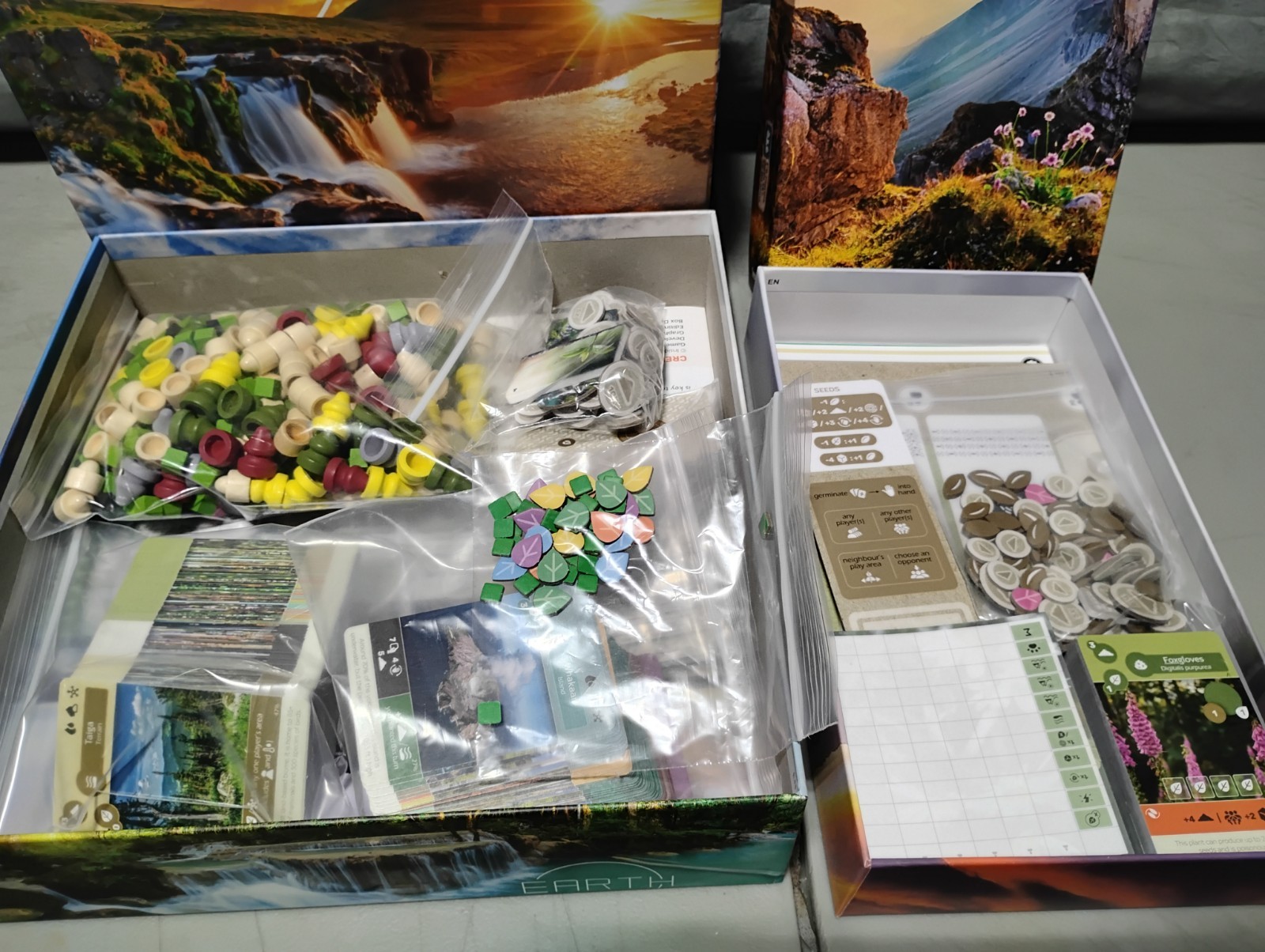 Earth Board Game Plus Abundance Expansion – Inside Up Games Board Games