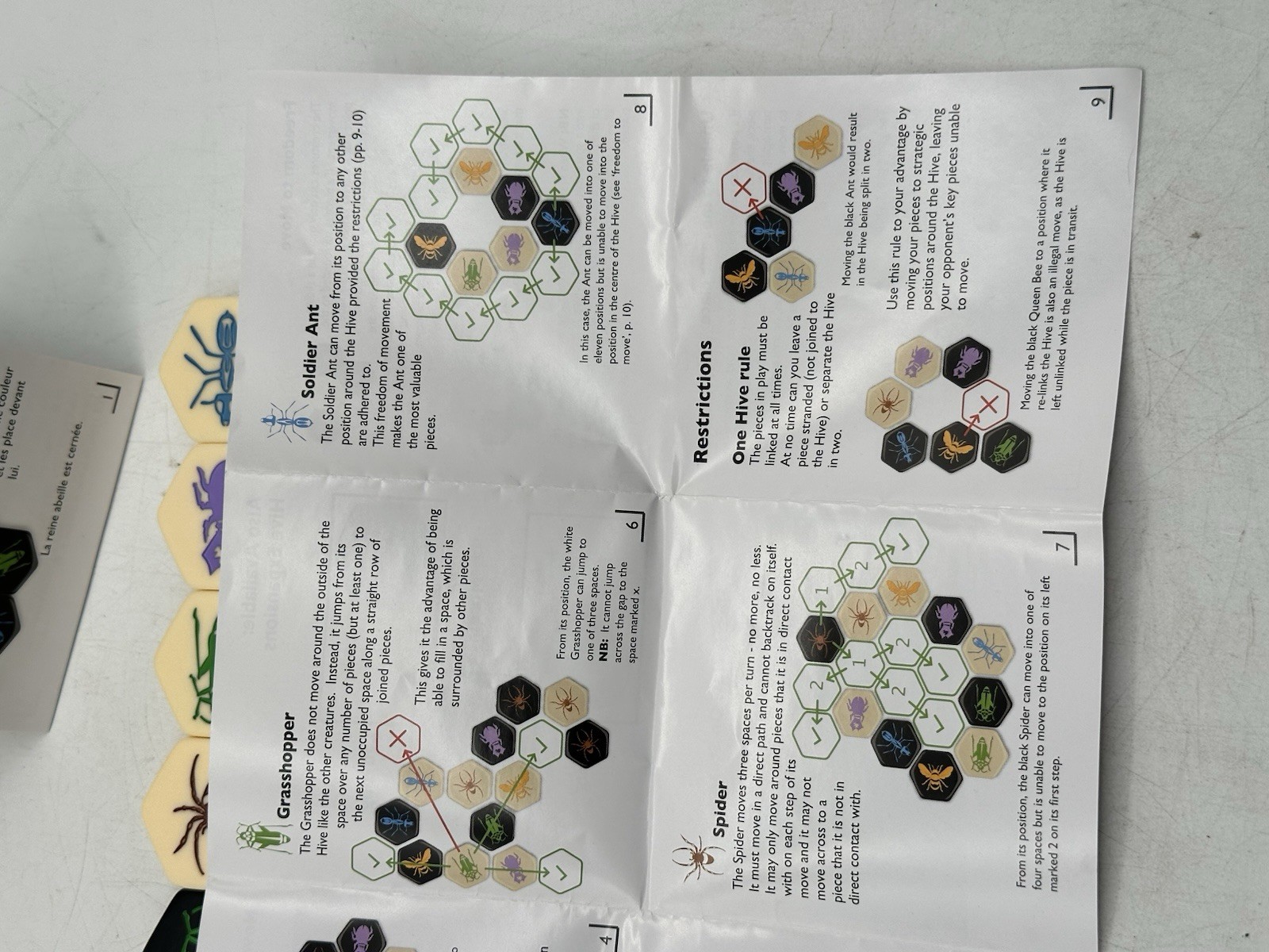 Hive A Game Crawling With Possibilities John Yianni Gen42.com Protect The Queen