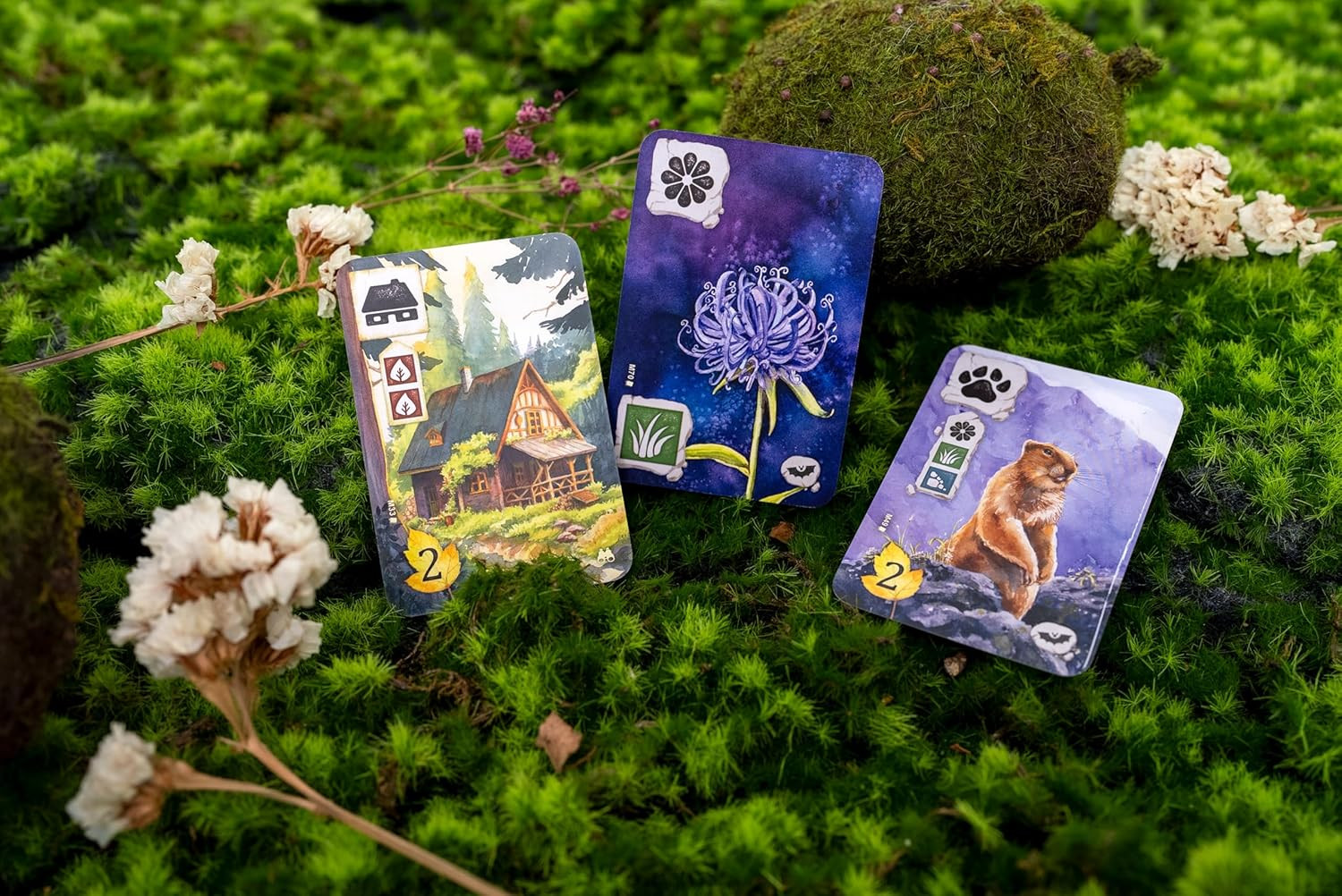 Meadow Adventure Book – Innovative Board Game Expansion with Watercolor Illustra