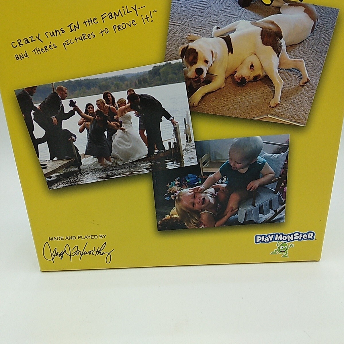 PlayMonster Relative Insanity: See What I Mean?! – Party Game with Funny Phot…