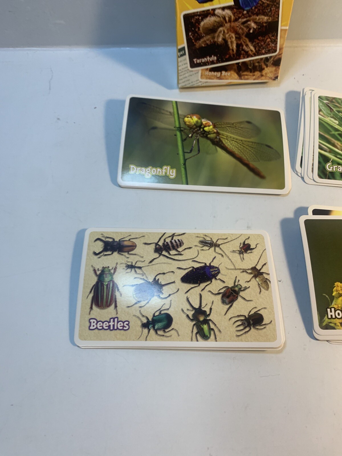 6 Assorted Kids Card Games FLASH CARDS Disney Old Maid Go Fish Vantage Insects