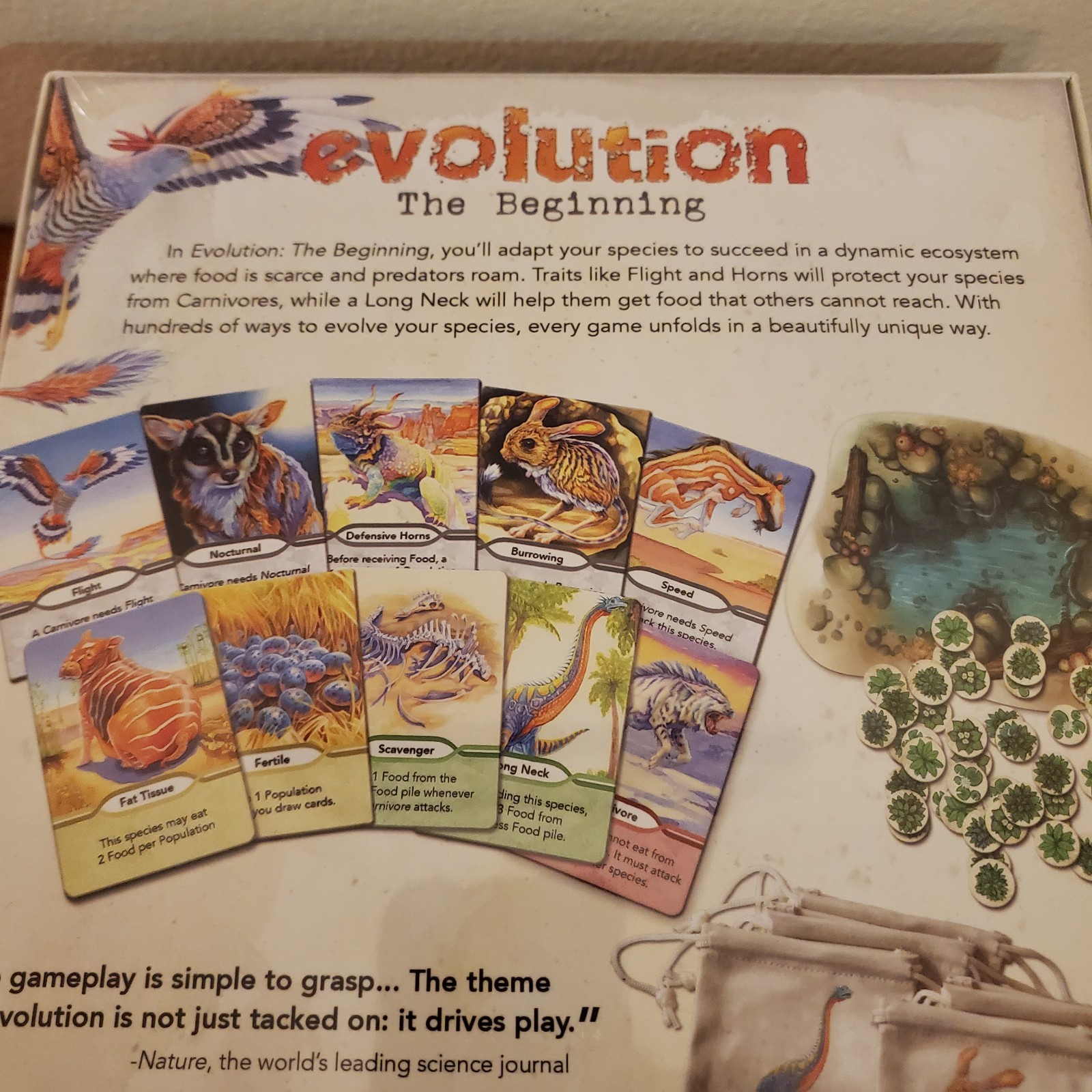 North Star Games Evolution The Beginning Dinosaur Board Game New Educational