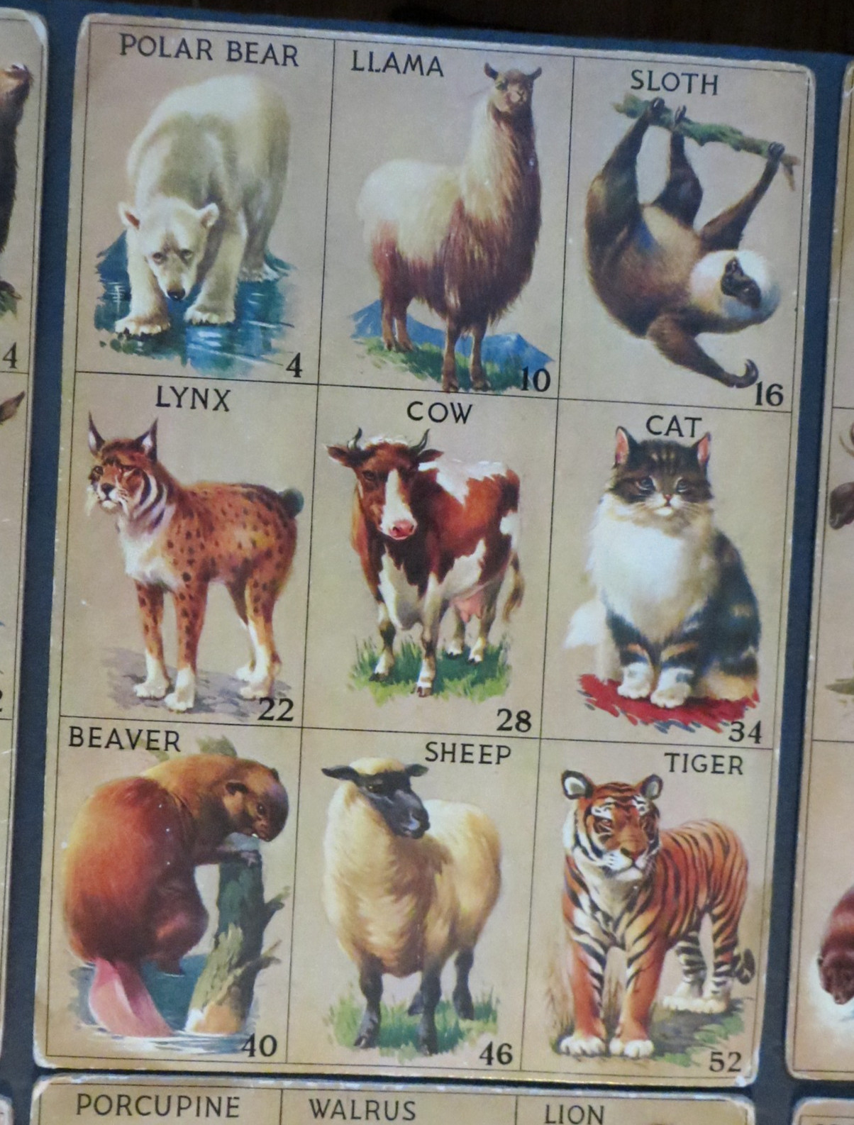 1932 Vintage Animal Lotto Samuel Gabriel & Sons , NY 6 Boards Only