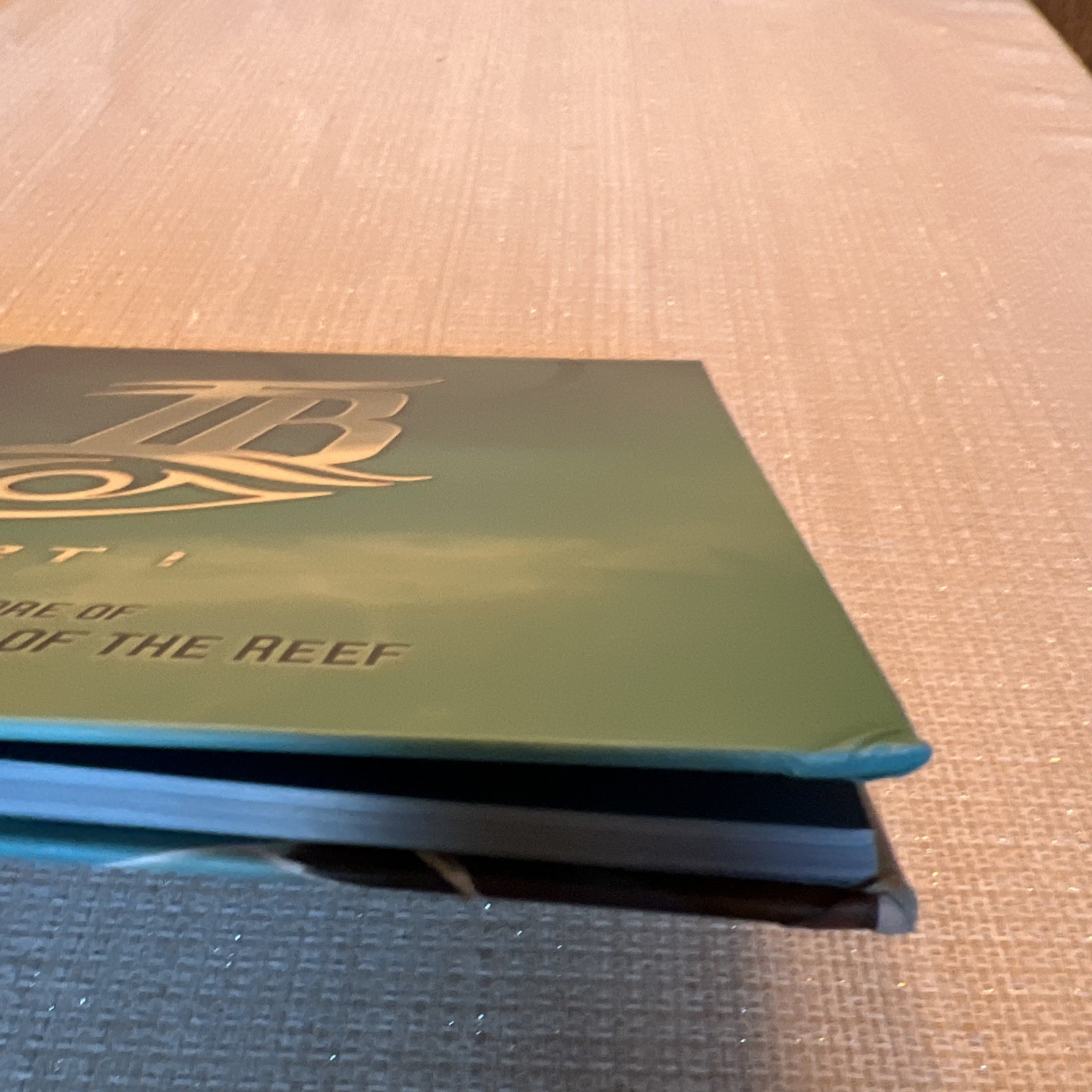 The Art and Lore of Tidal Blades: Heroes of the Reef Part 1 Hardcover Book