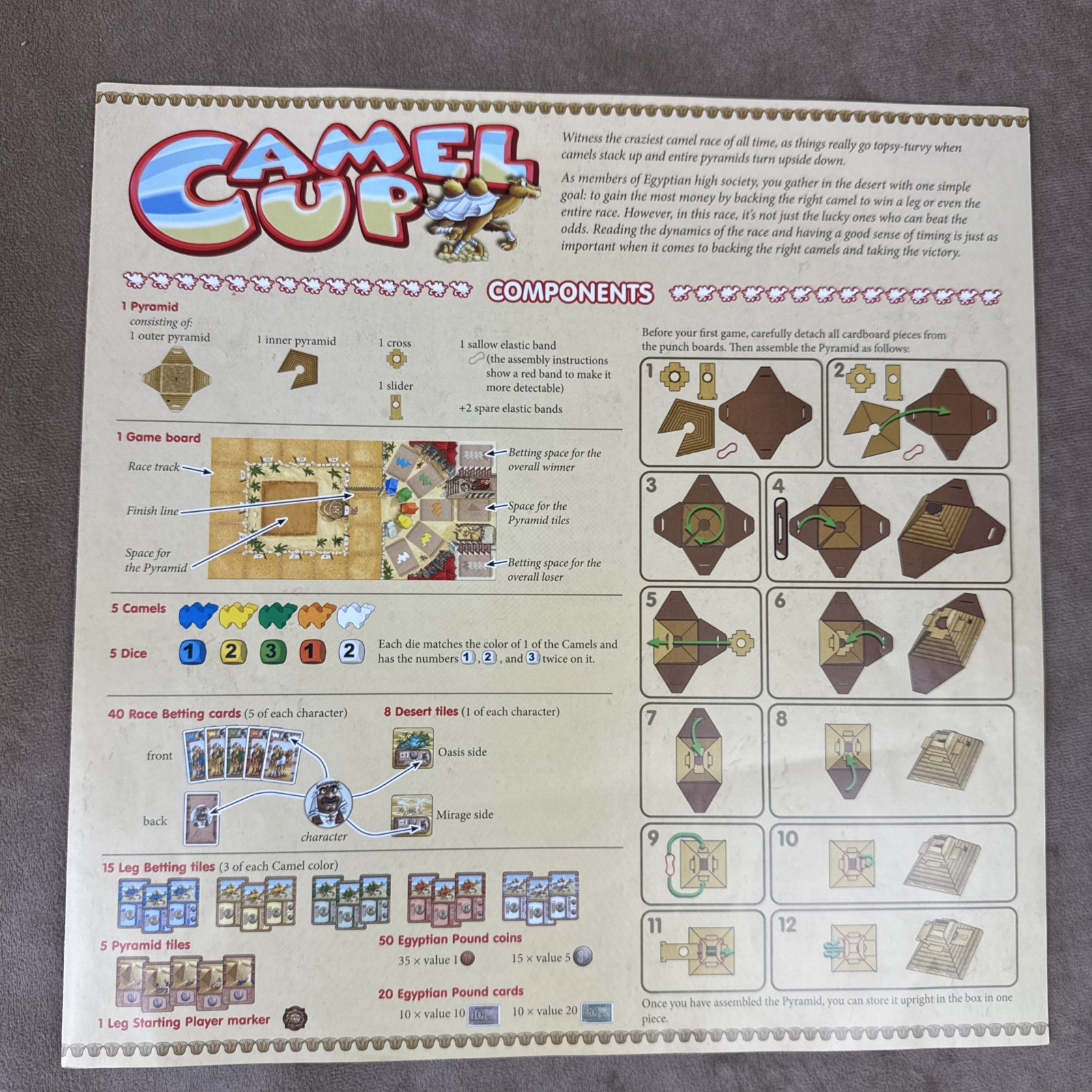 Camel Up COMPLETE Board Game – Stephen Bogen Z-Man Cup Board Game